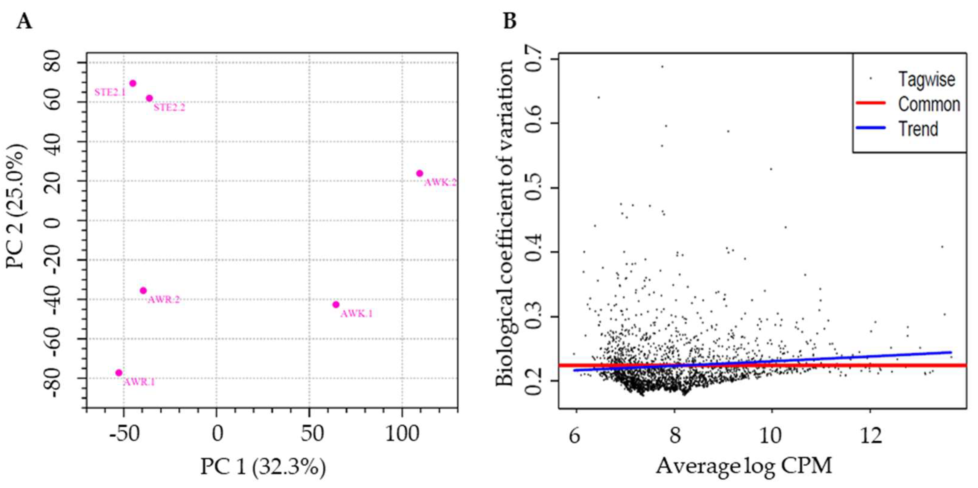 Preprints 141625 g002