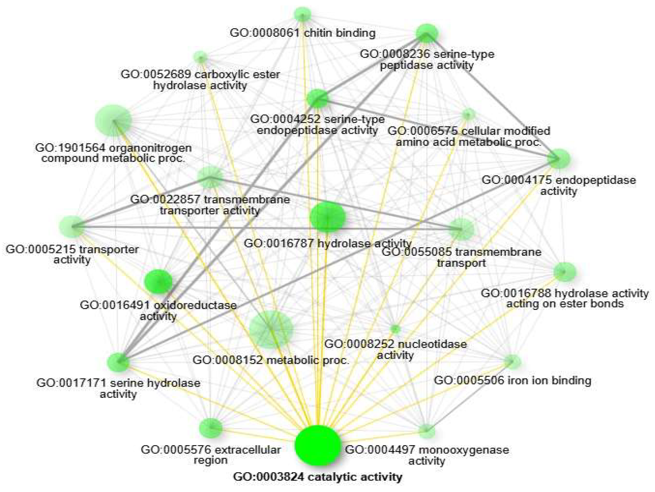 Preprints 141625 g005