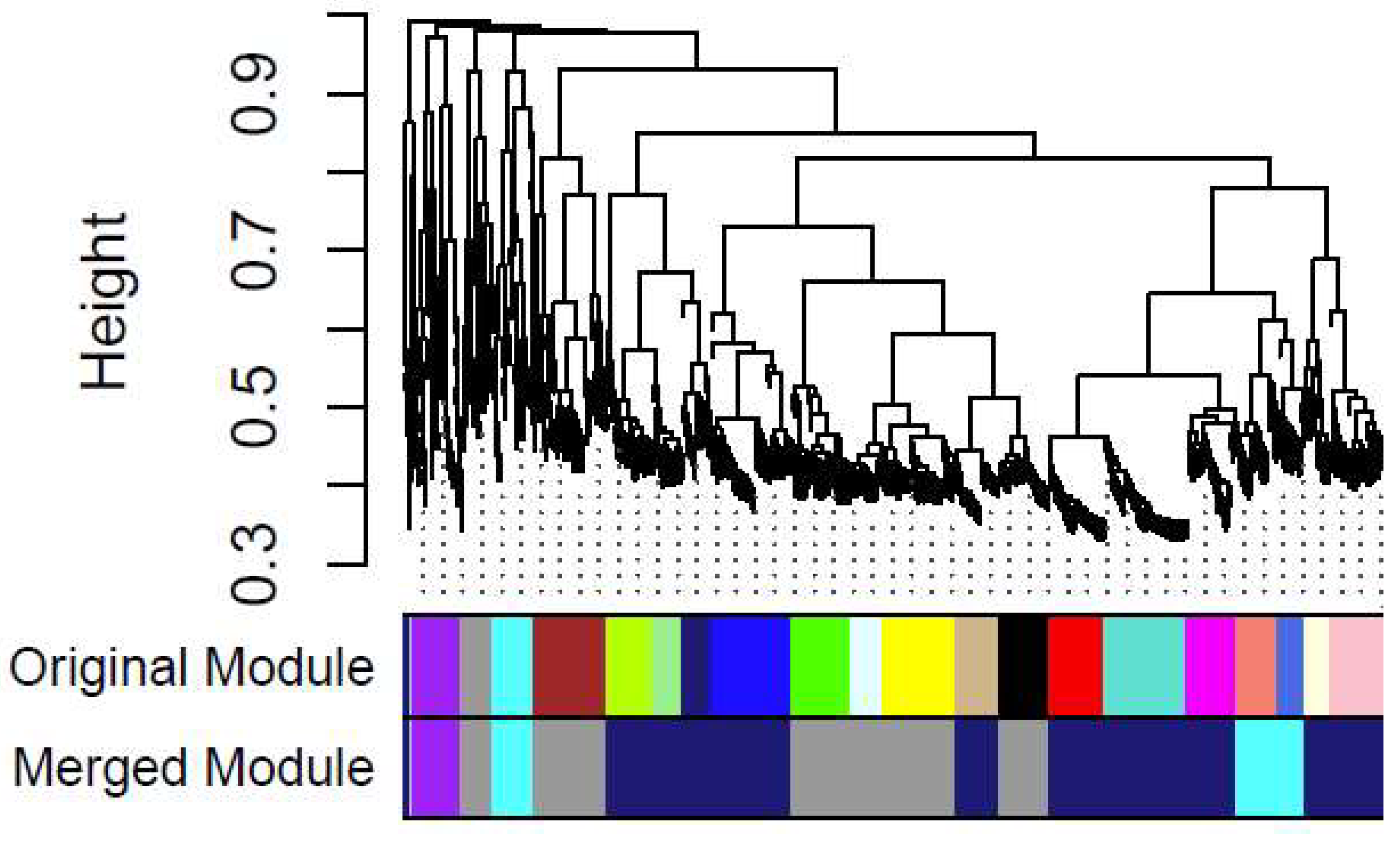 Preprints 141625 g006