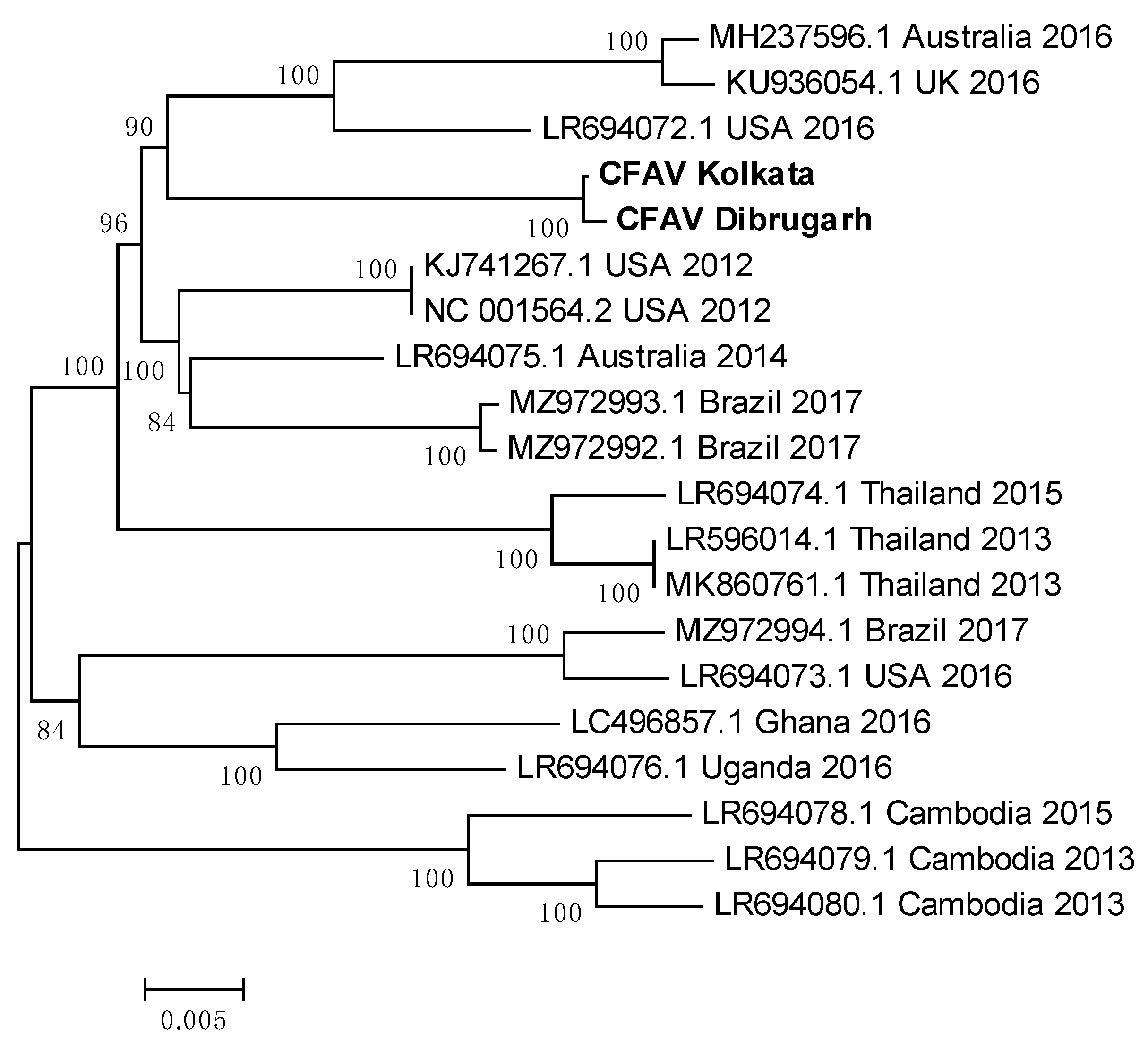 Preprints 92461 g015