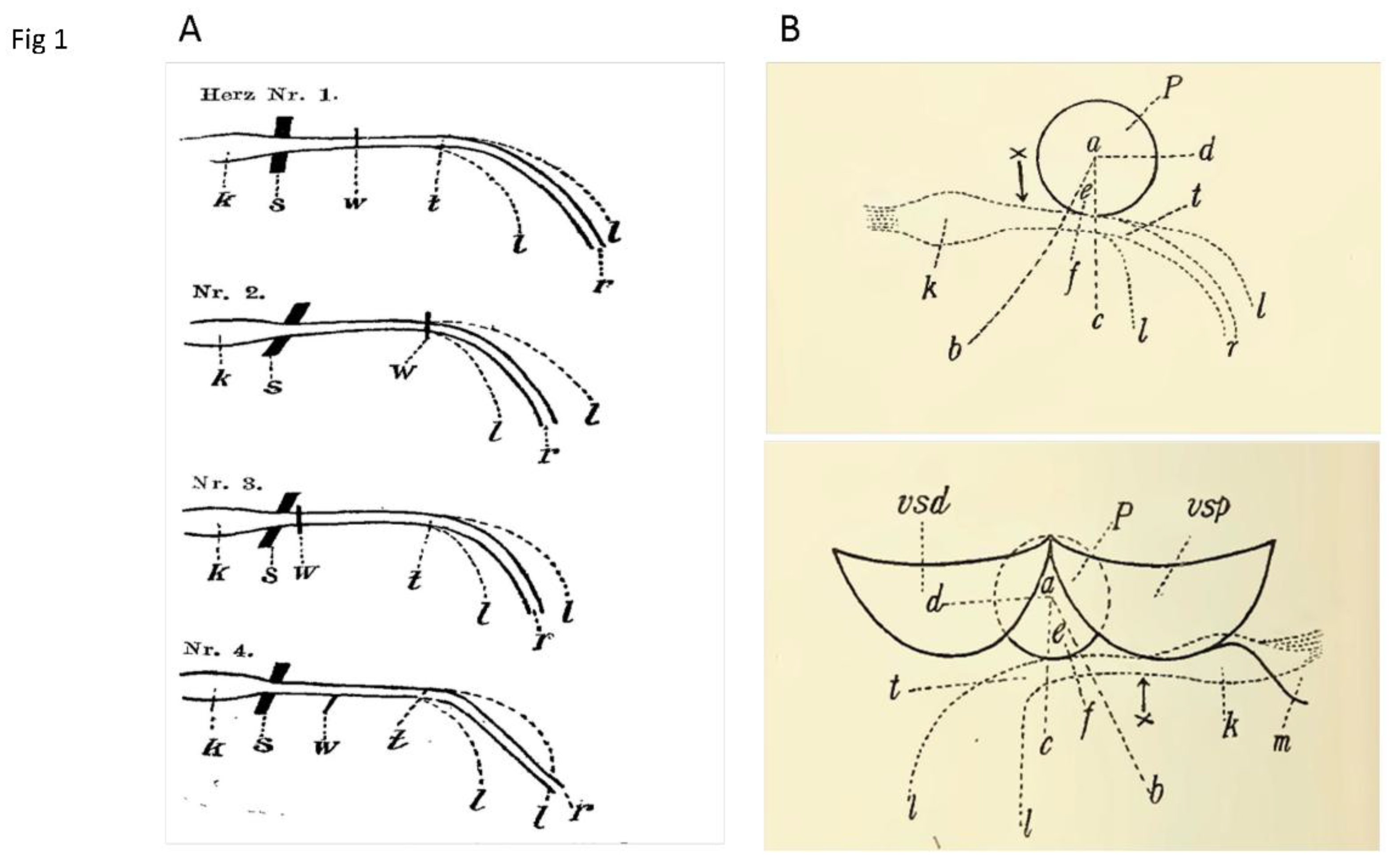 Preprints 175926 g001