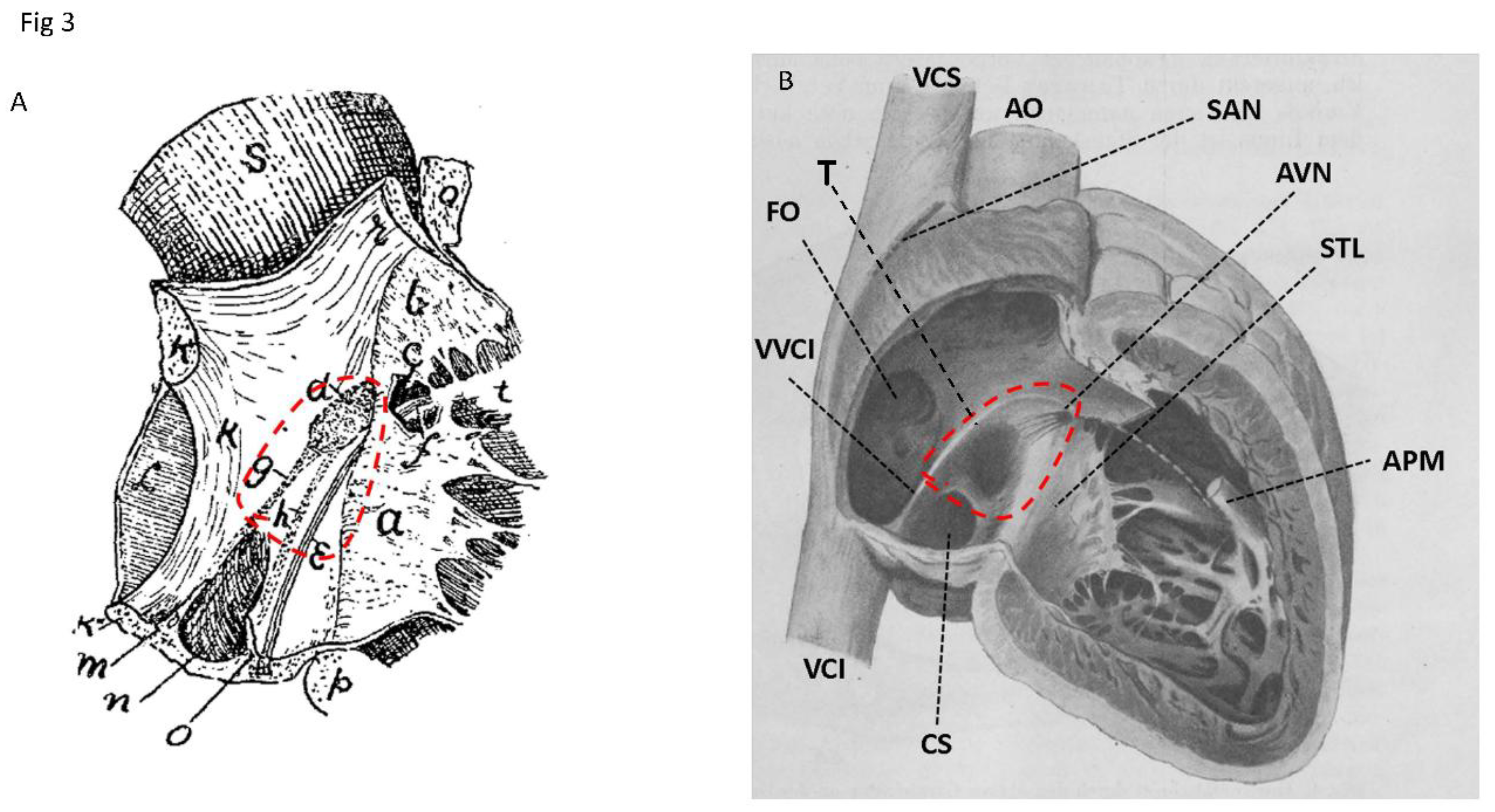 Preprints 175926 g003