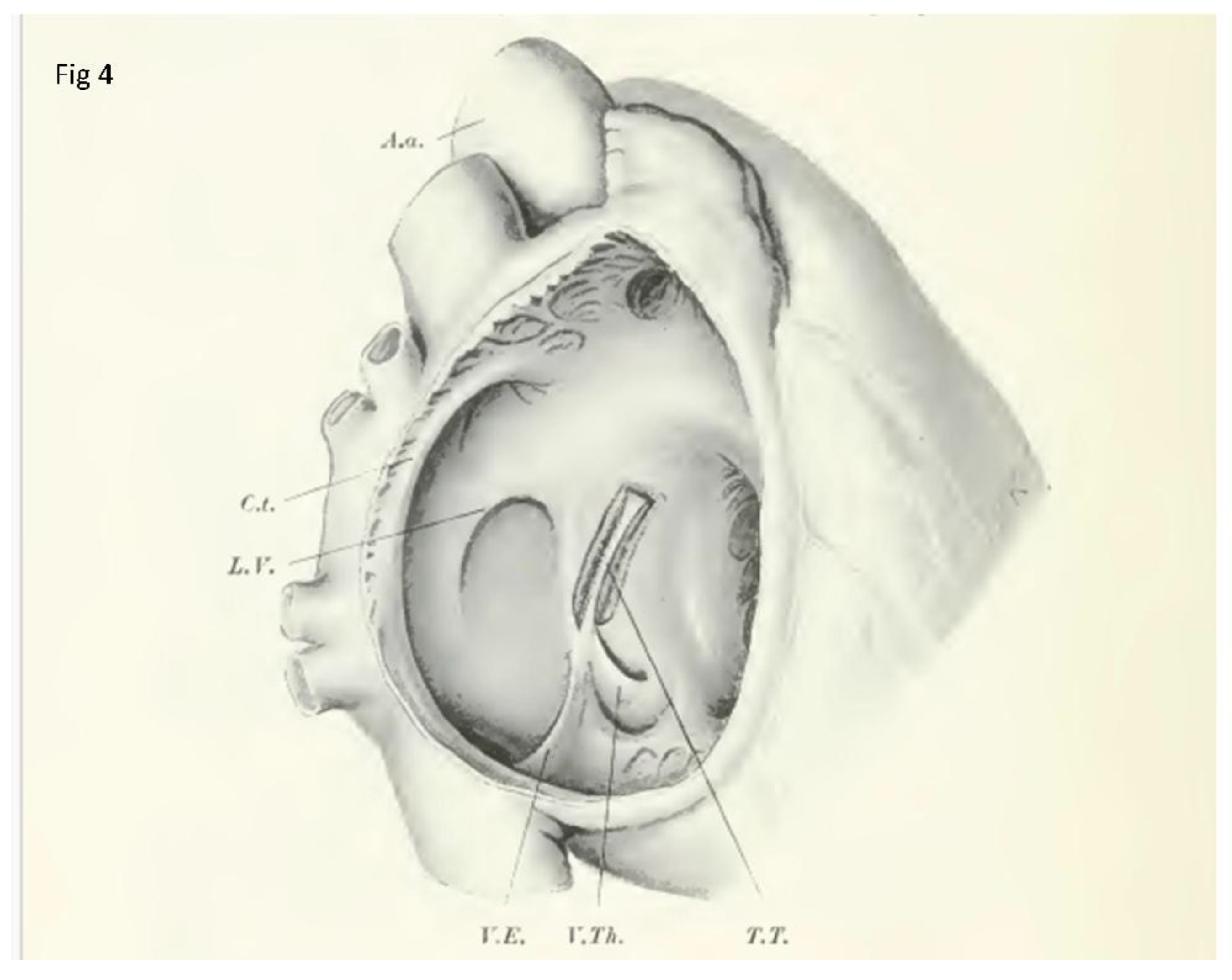Preprints 175926 g004