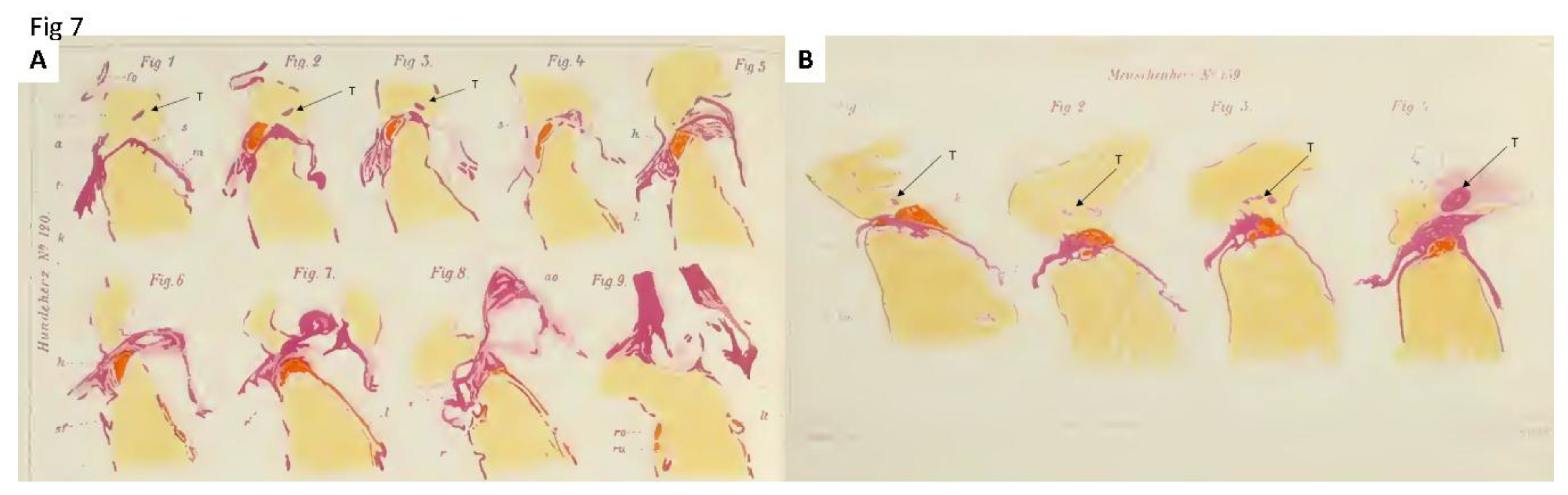 Preprints 175926 g007
