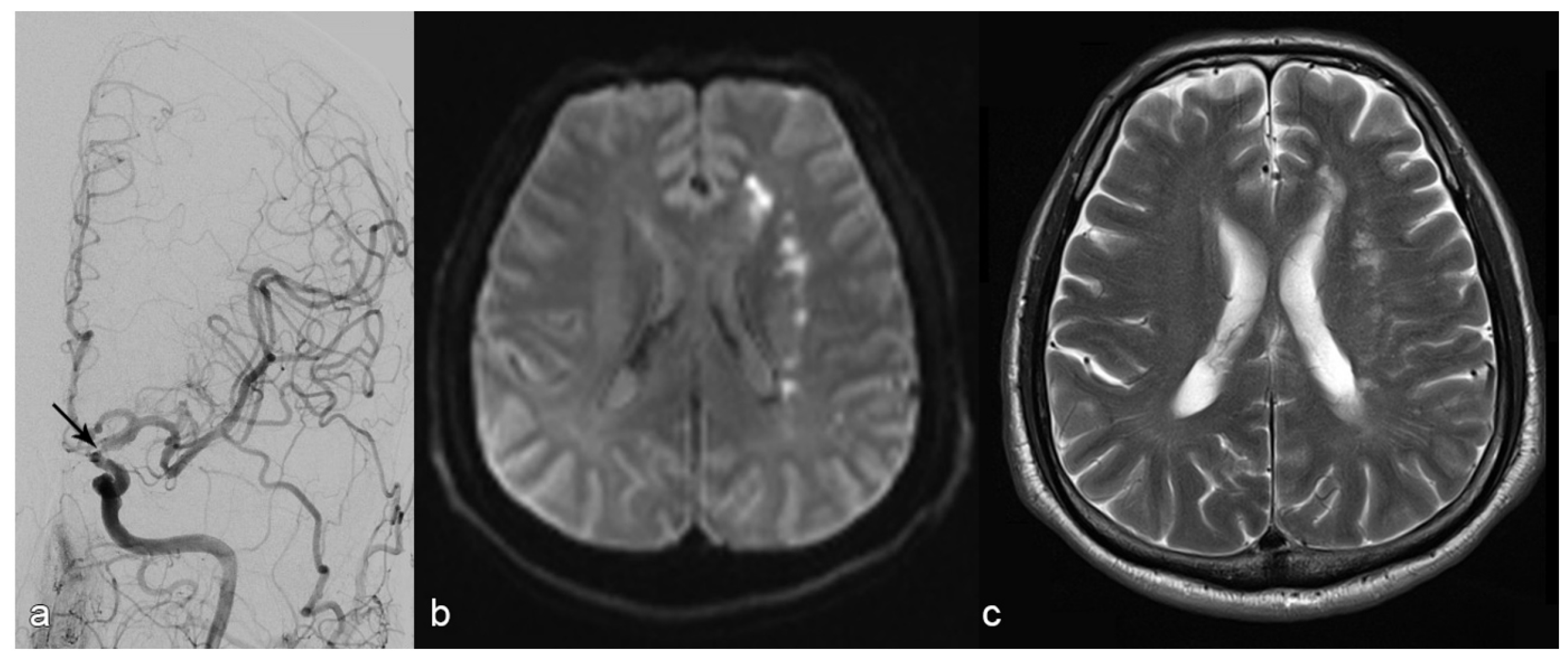 Preprints 185857 g002