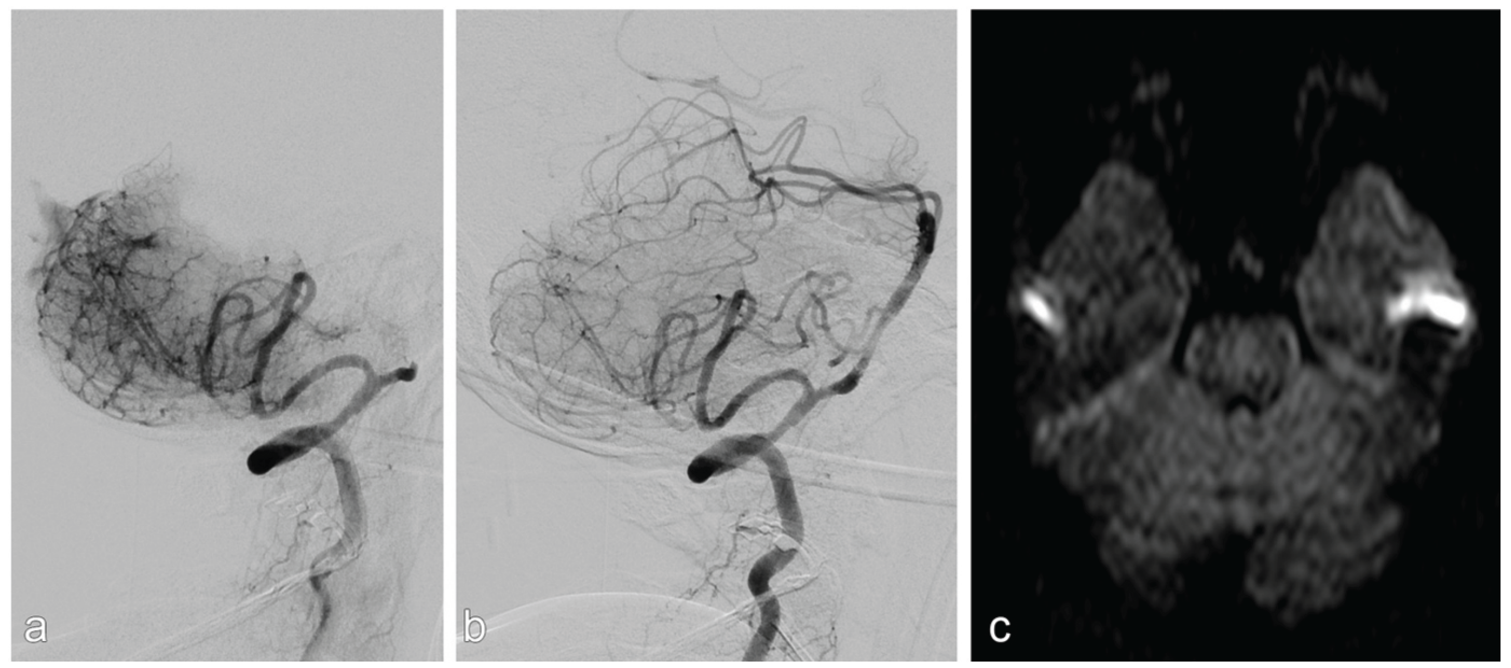 Preprints 185857 g003