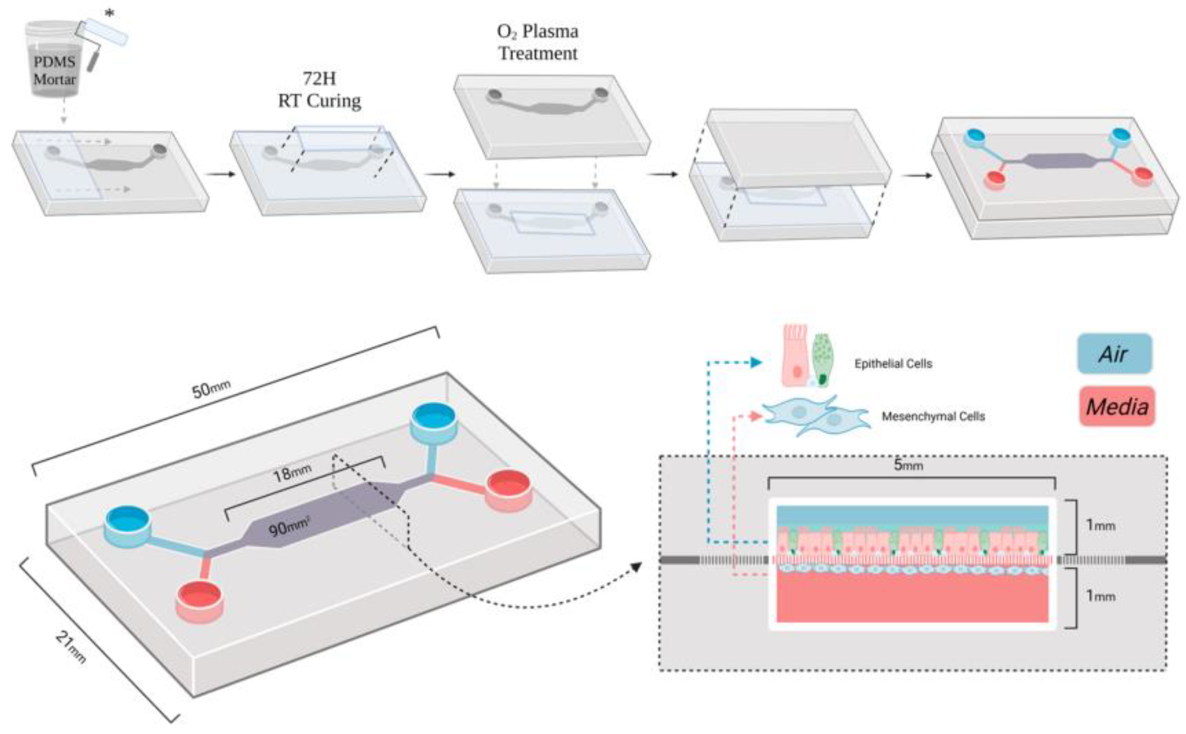 Preprints 186352 g001