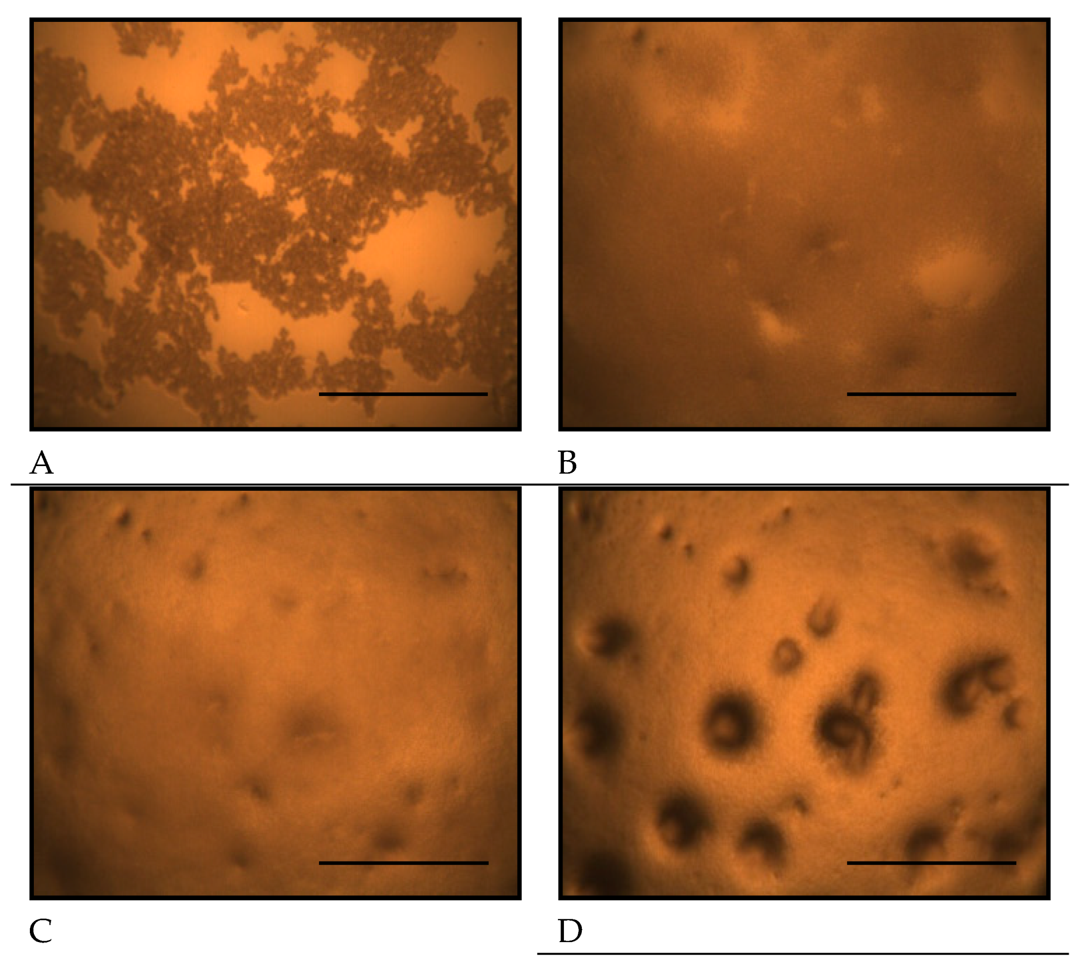 Preprints 167268 g002