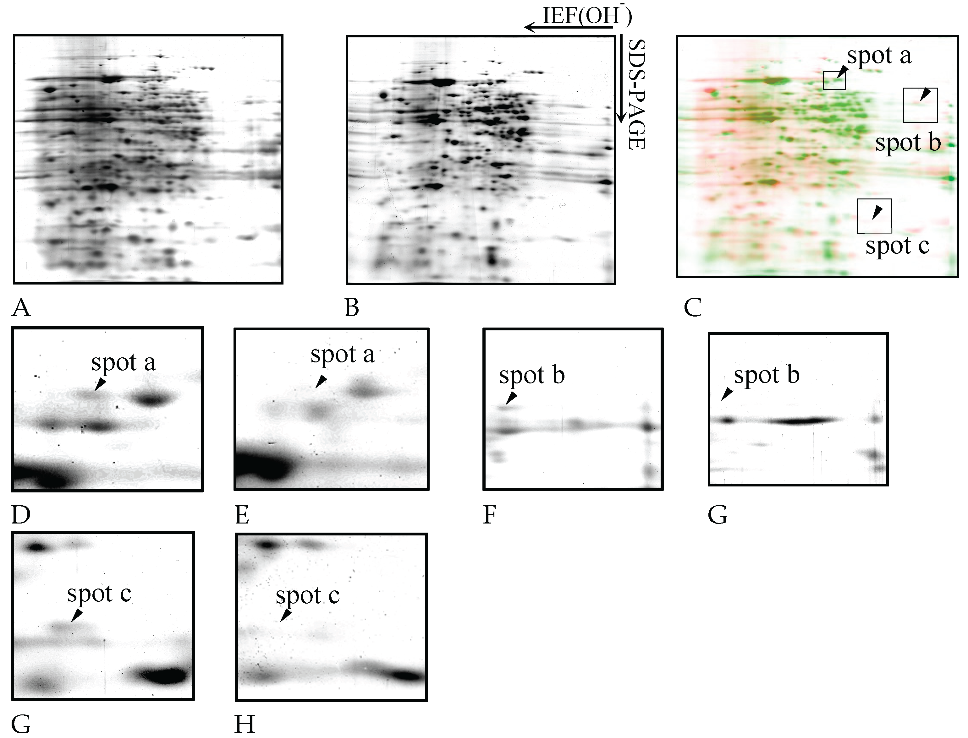 Preprints 167268 g005