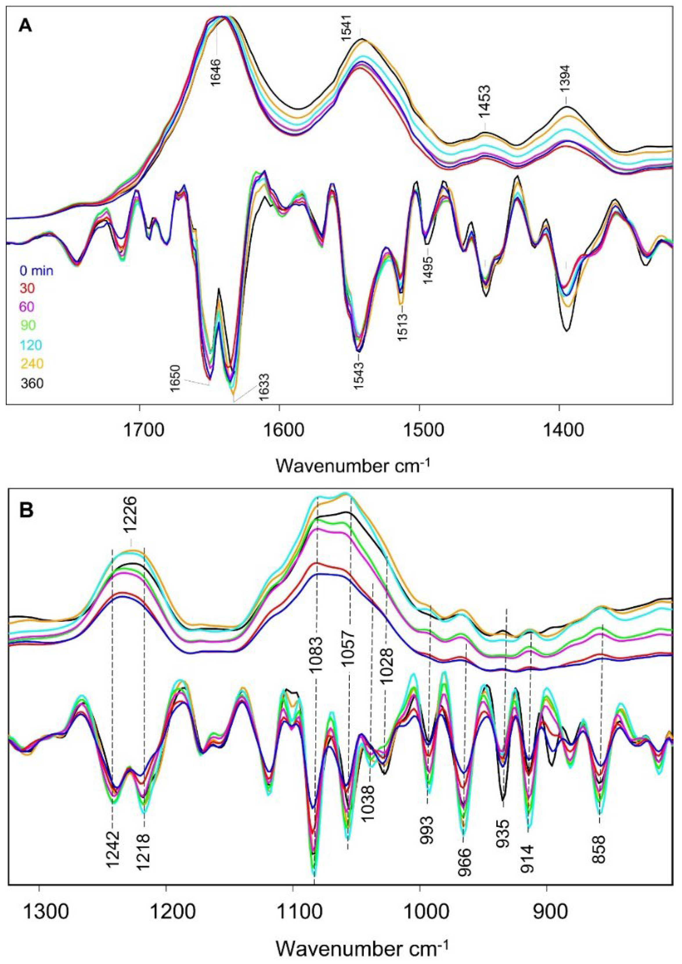 Preprints 148402 g002
