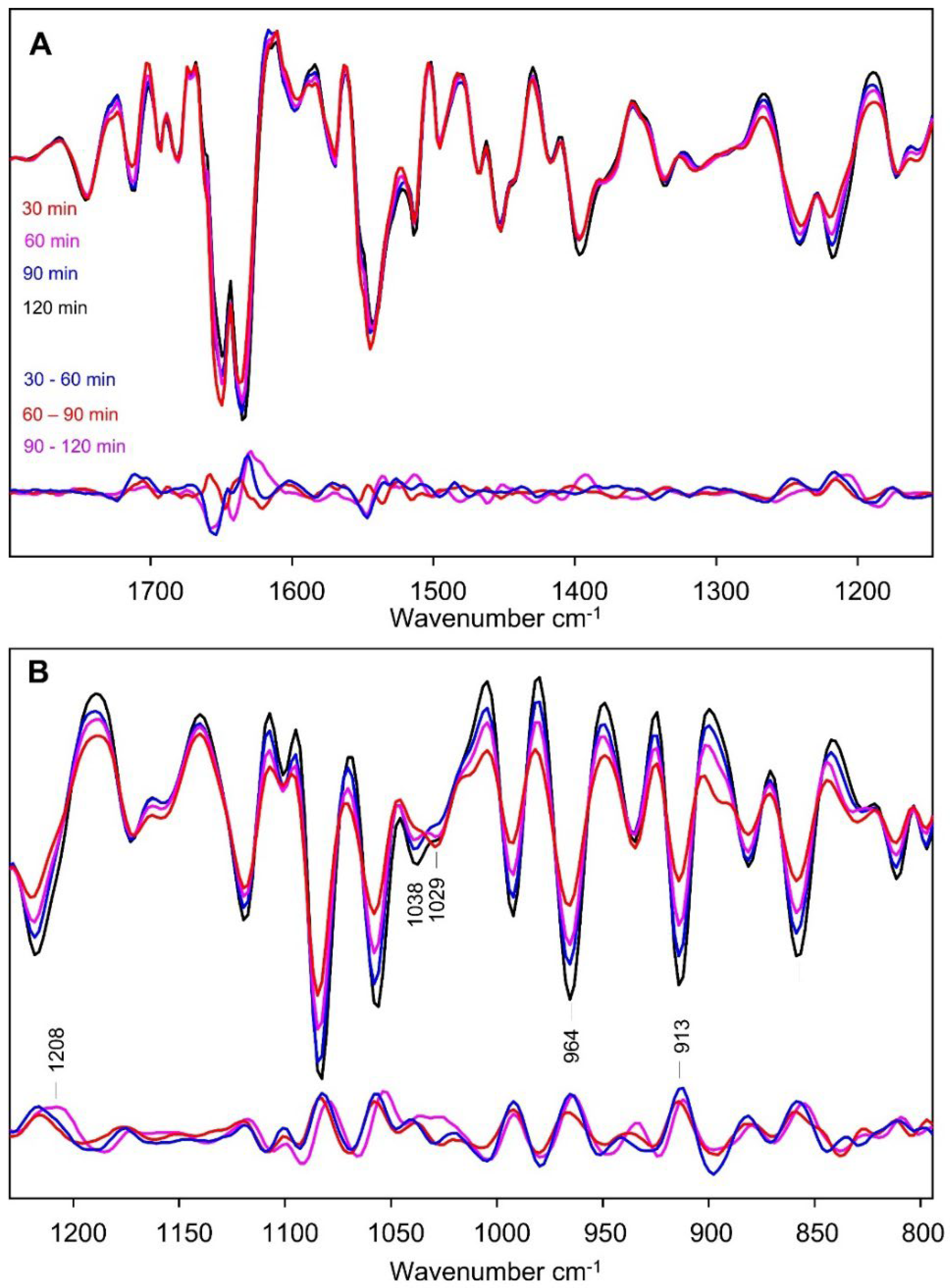 Preprints 148402 g007