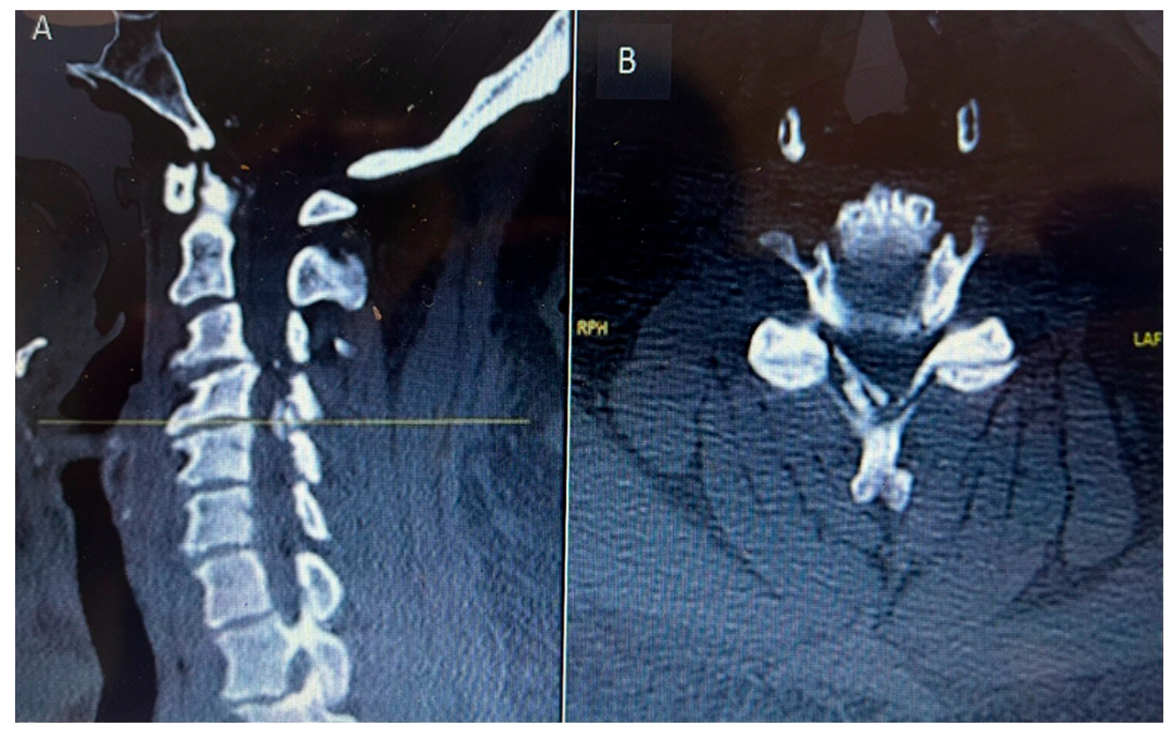 Preprints 170211 g001