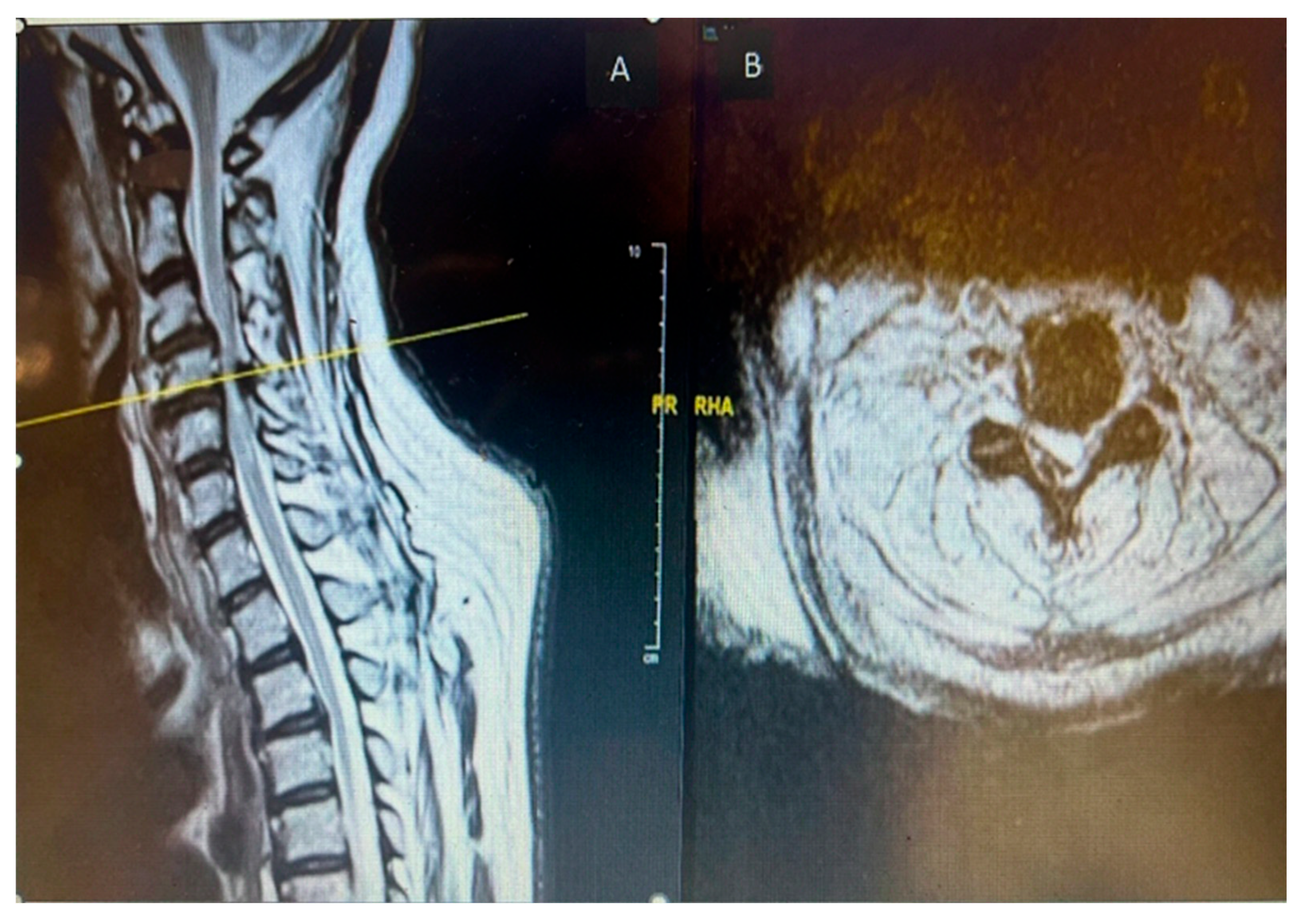Preprints 170211 g002