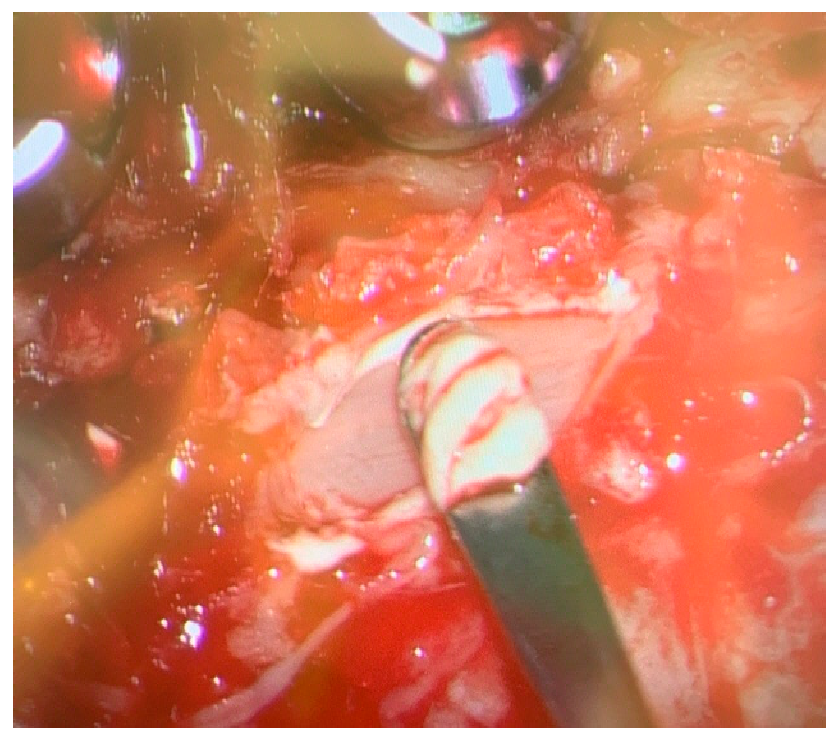 Preprints 170211 g003