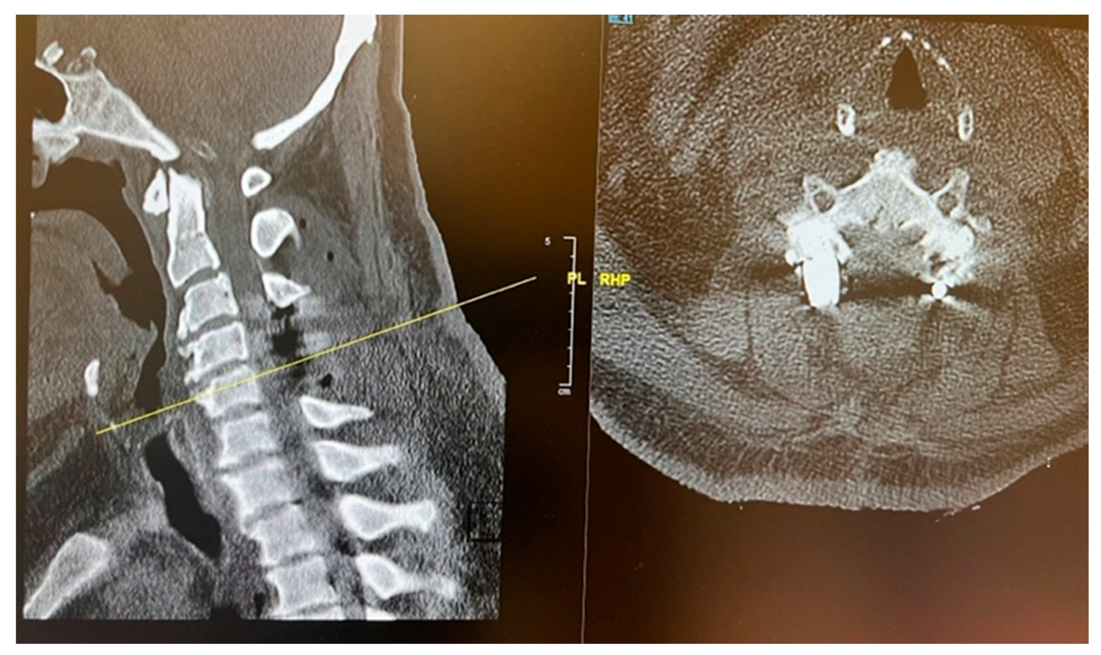 Preprints 170211 g005