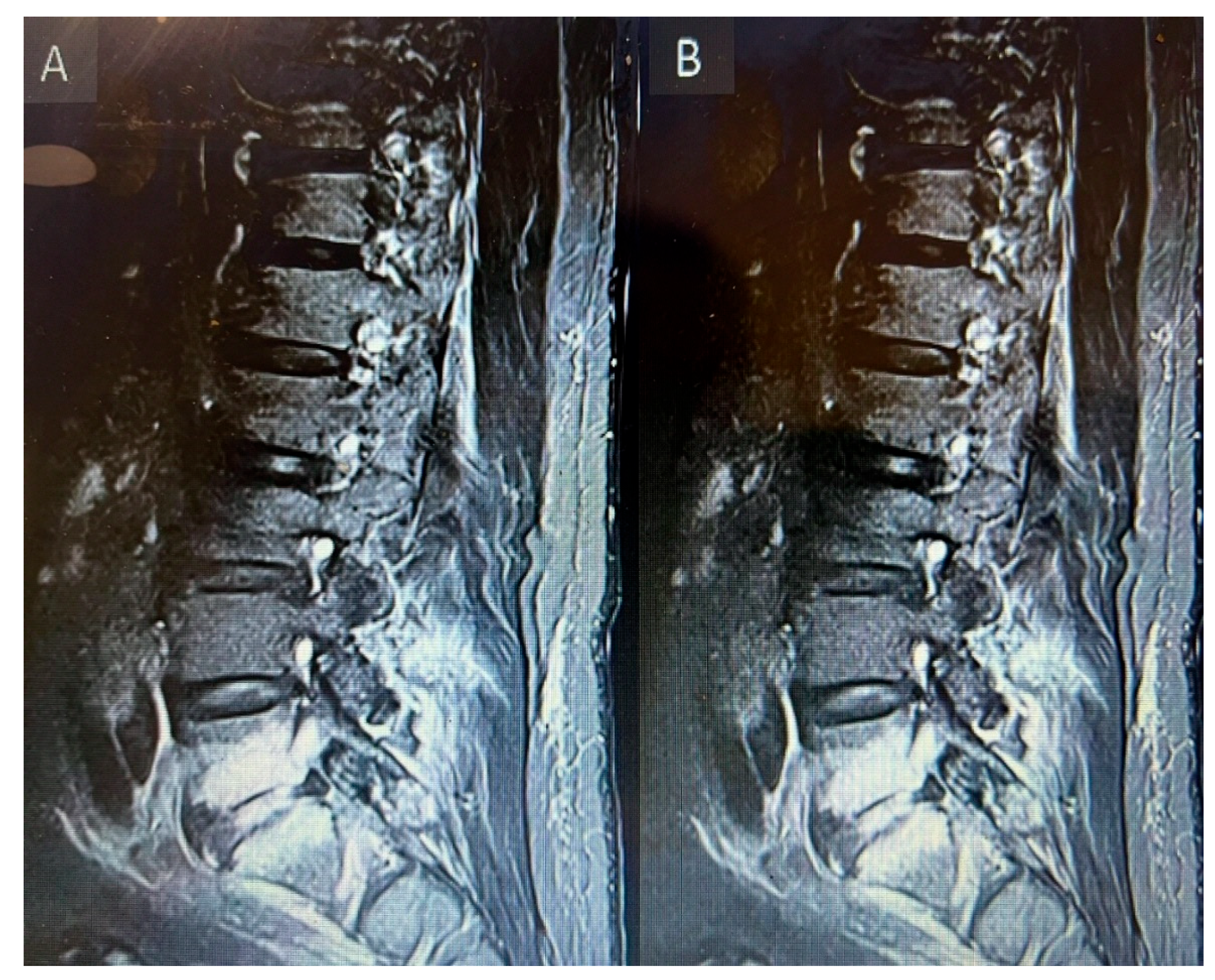 Preprints 170211 g006