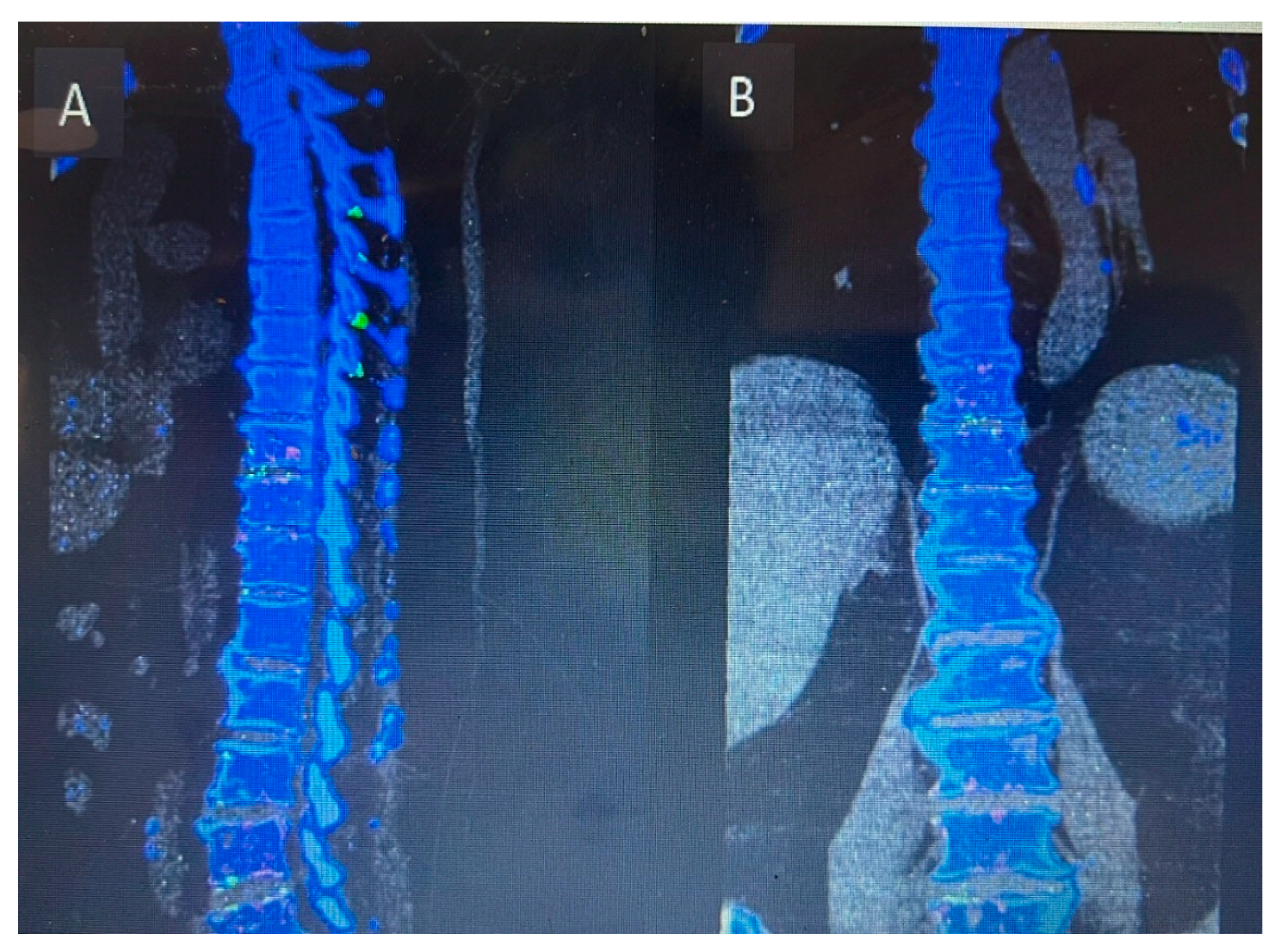 Preprints 170211 g007