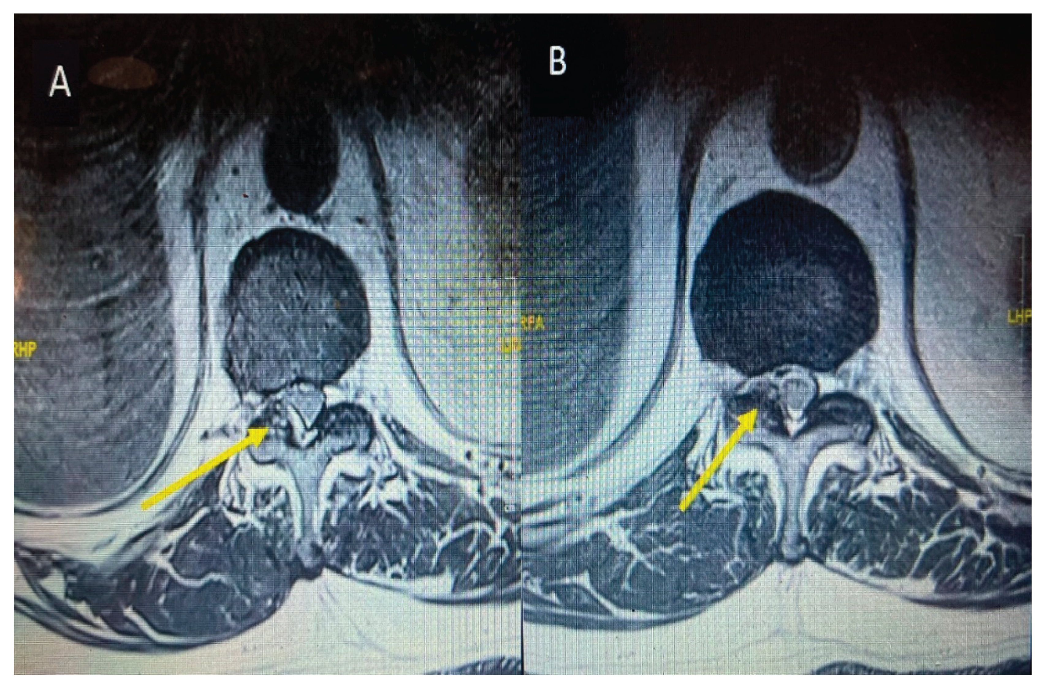 Preprints 170211 g008