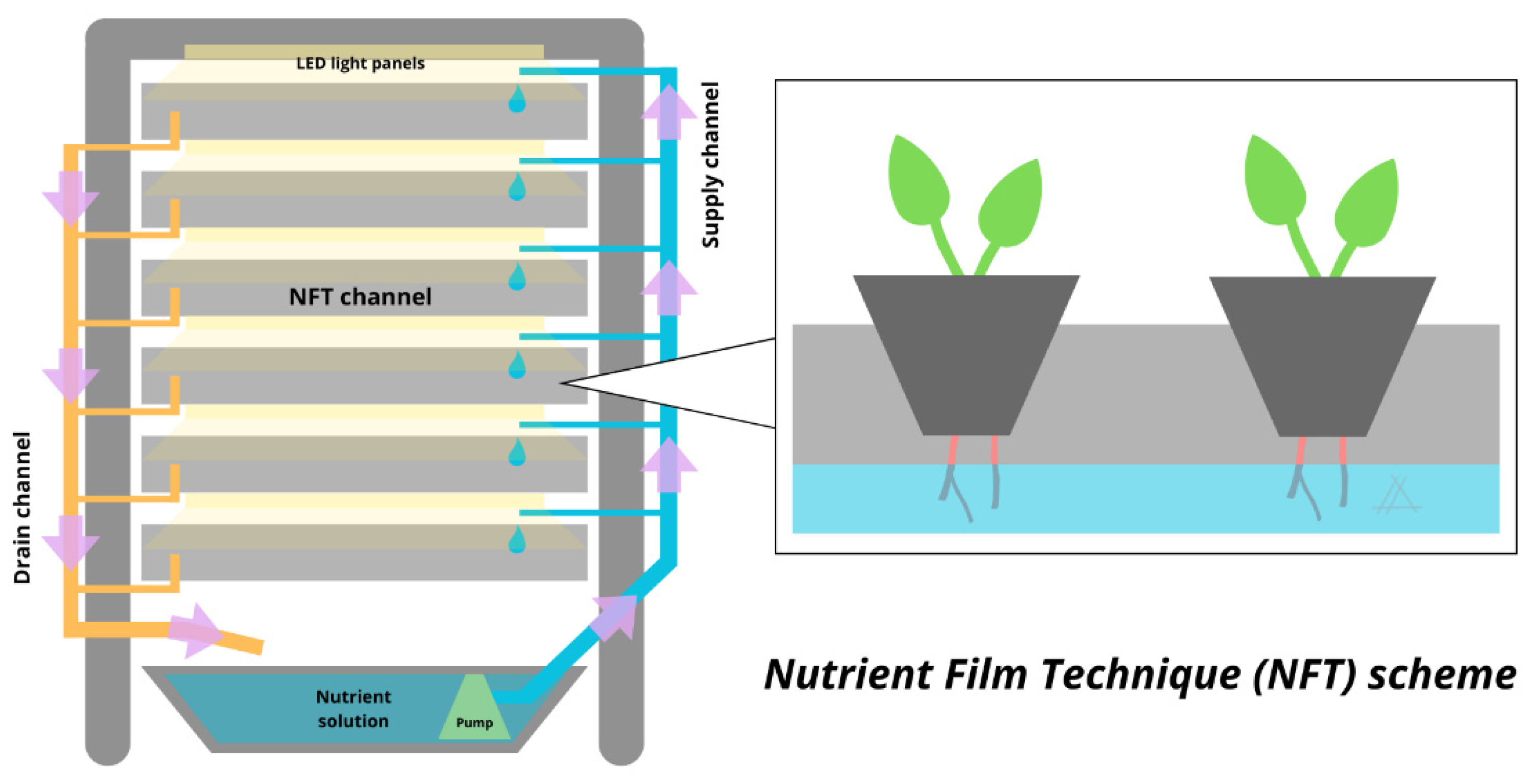 Preprints 196055 g001