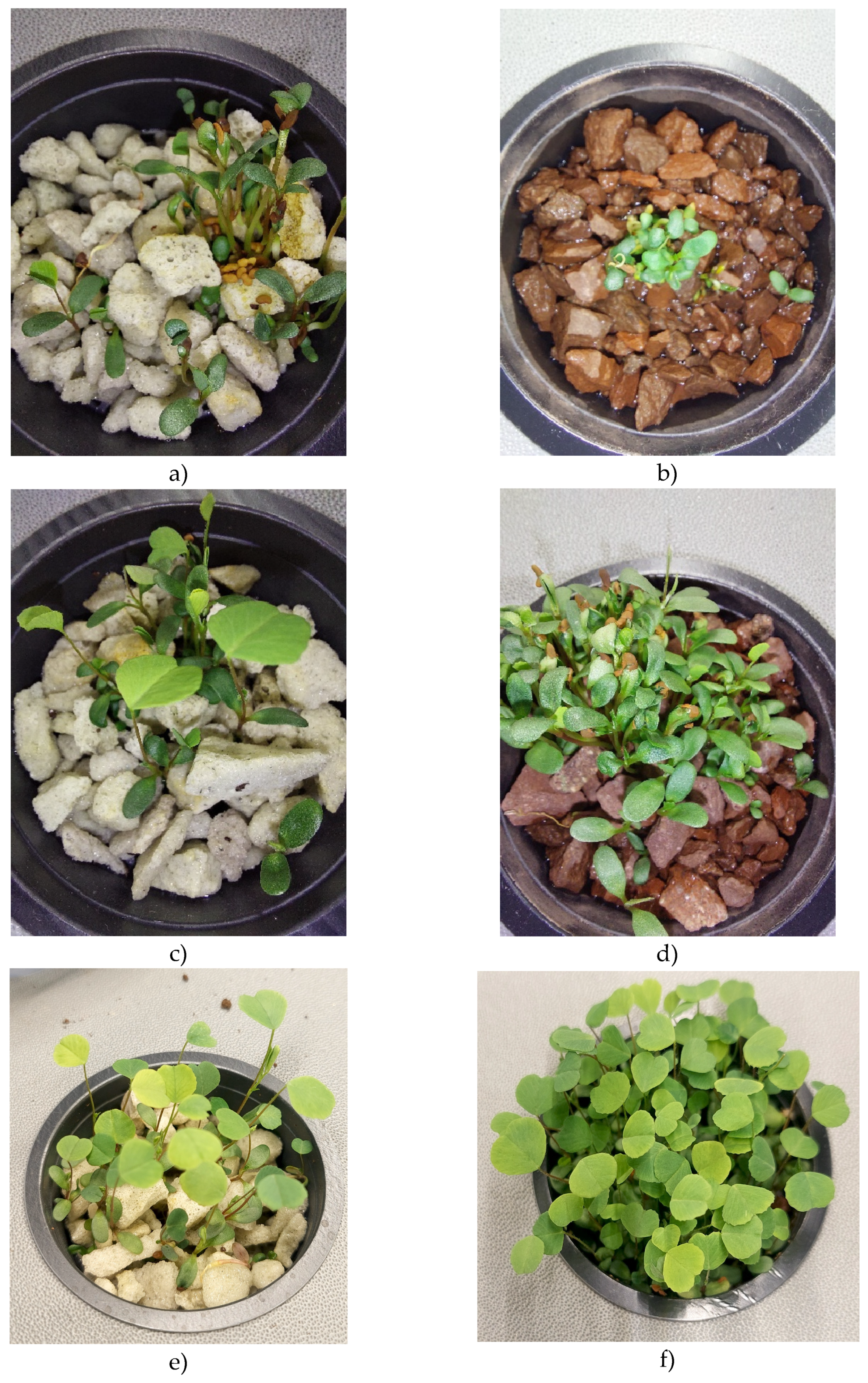 Preprints 196055 g005a