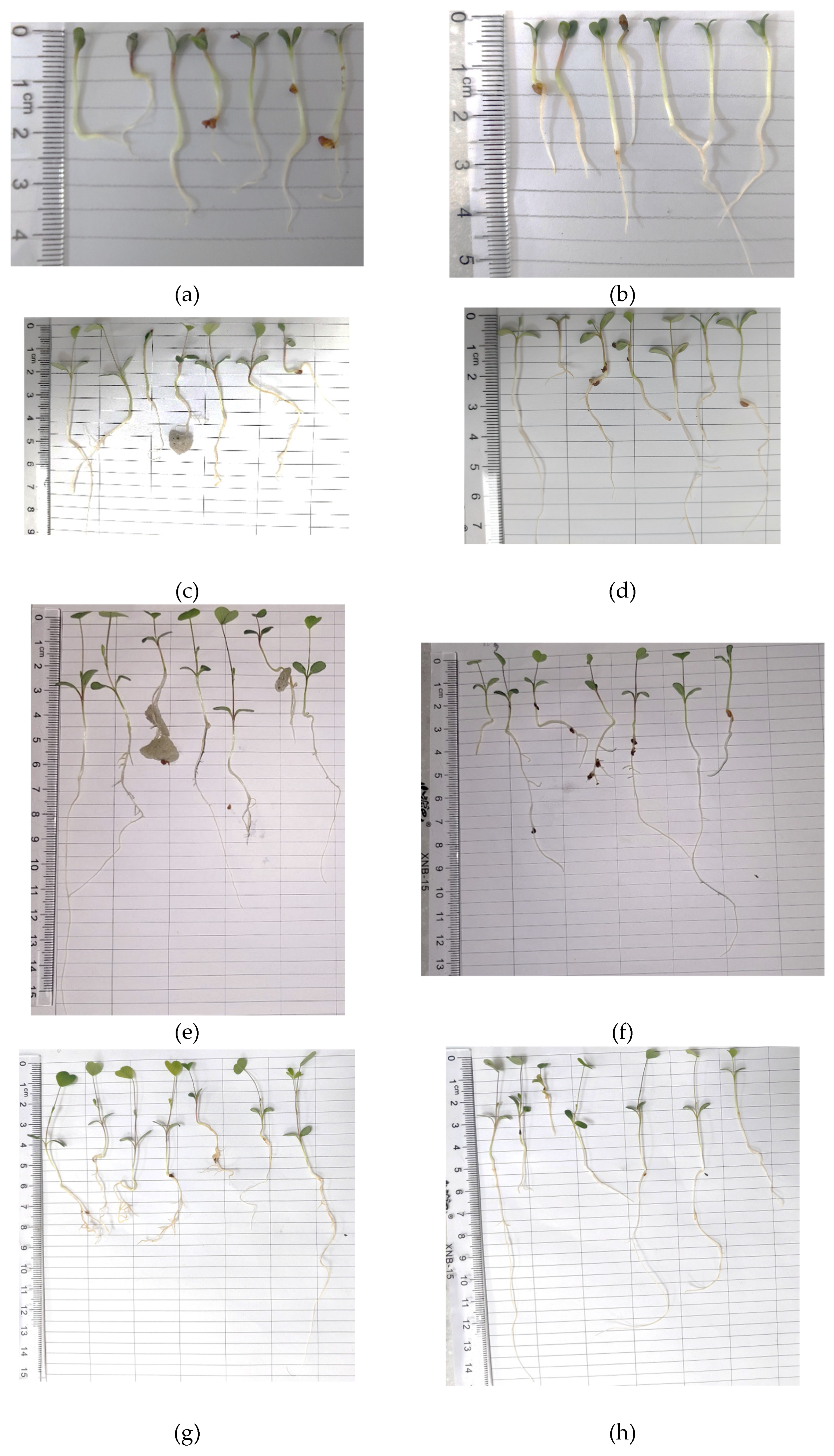Preprints 196055 g0a1