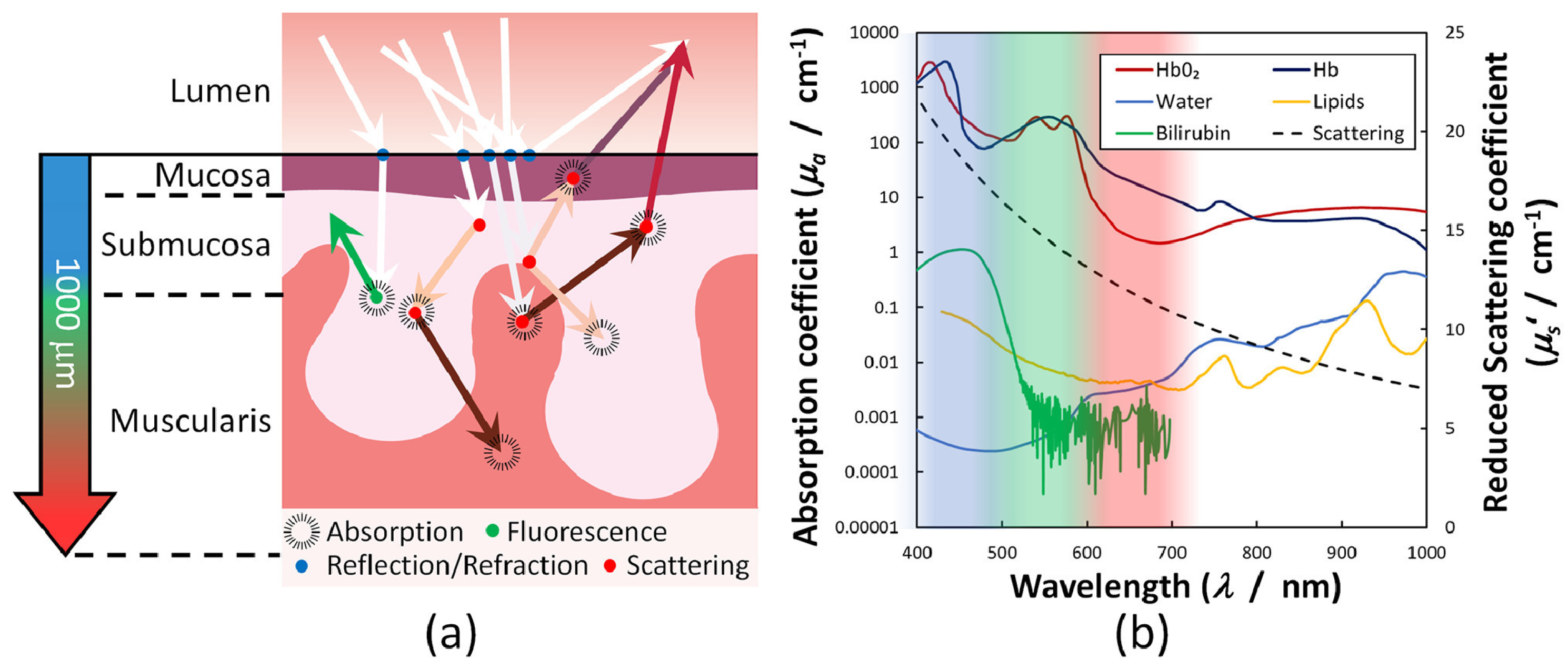 Preprints 189707 g001