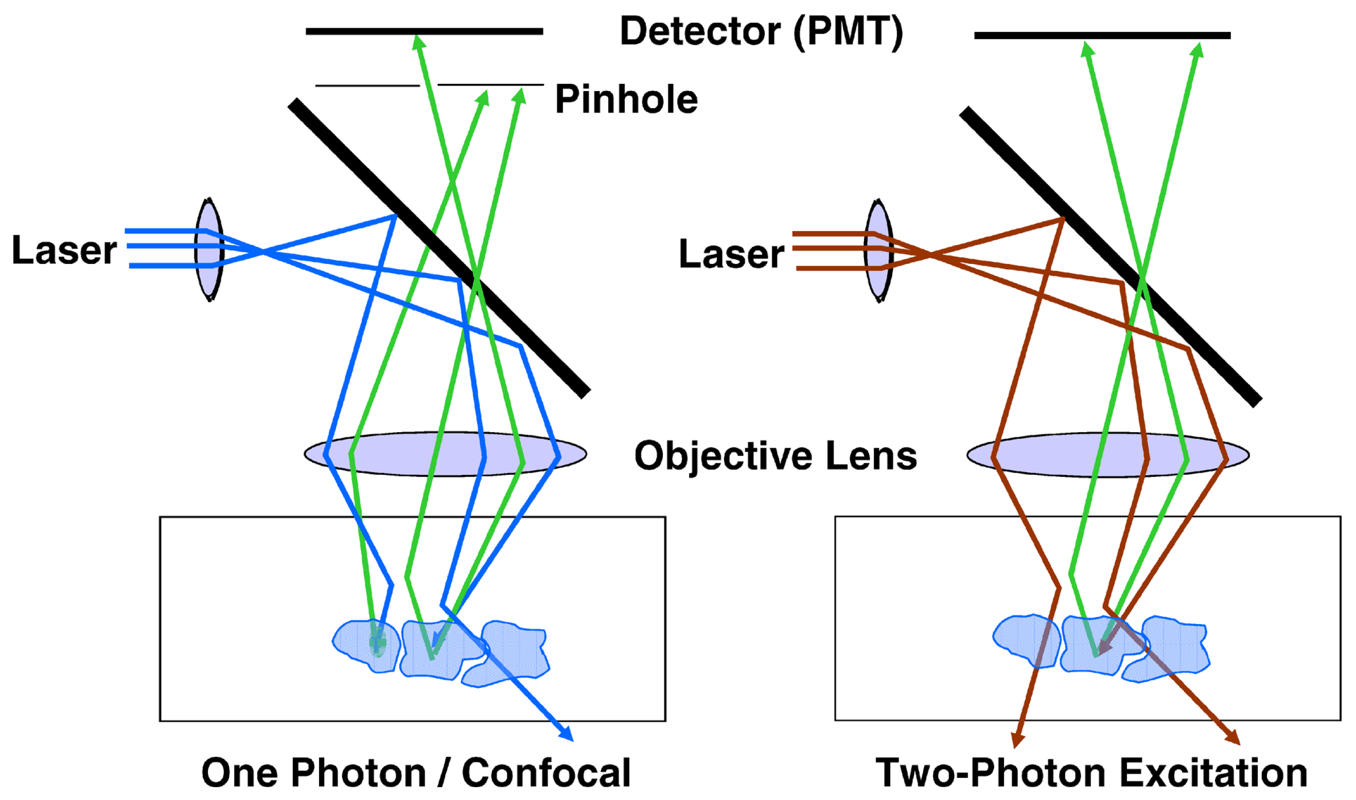 Preprints 189707 g003