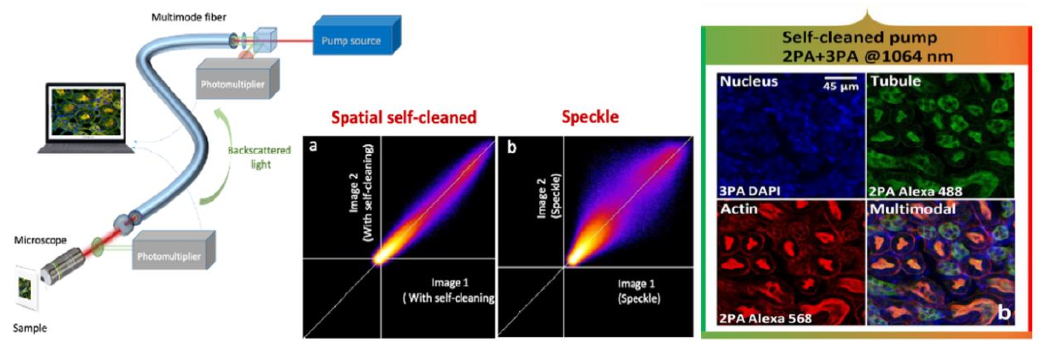 Preprints 189707 g006