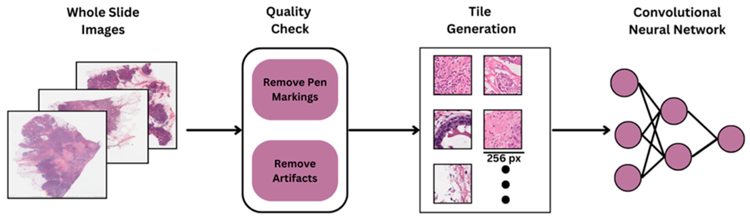 Preprints 164192 g001