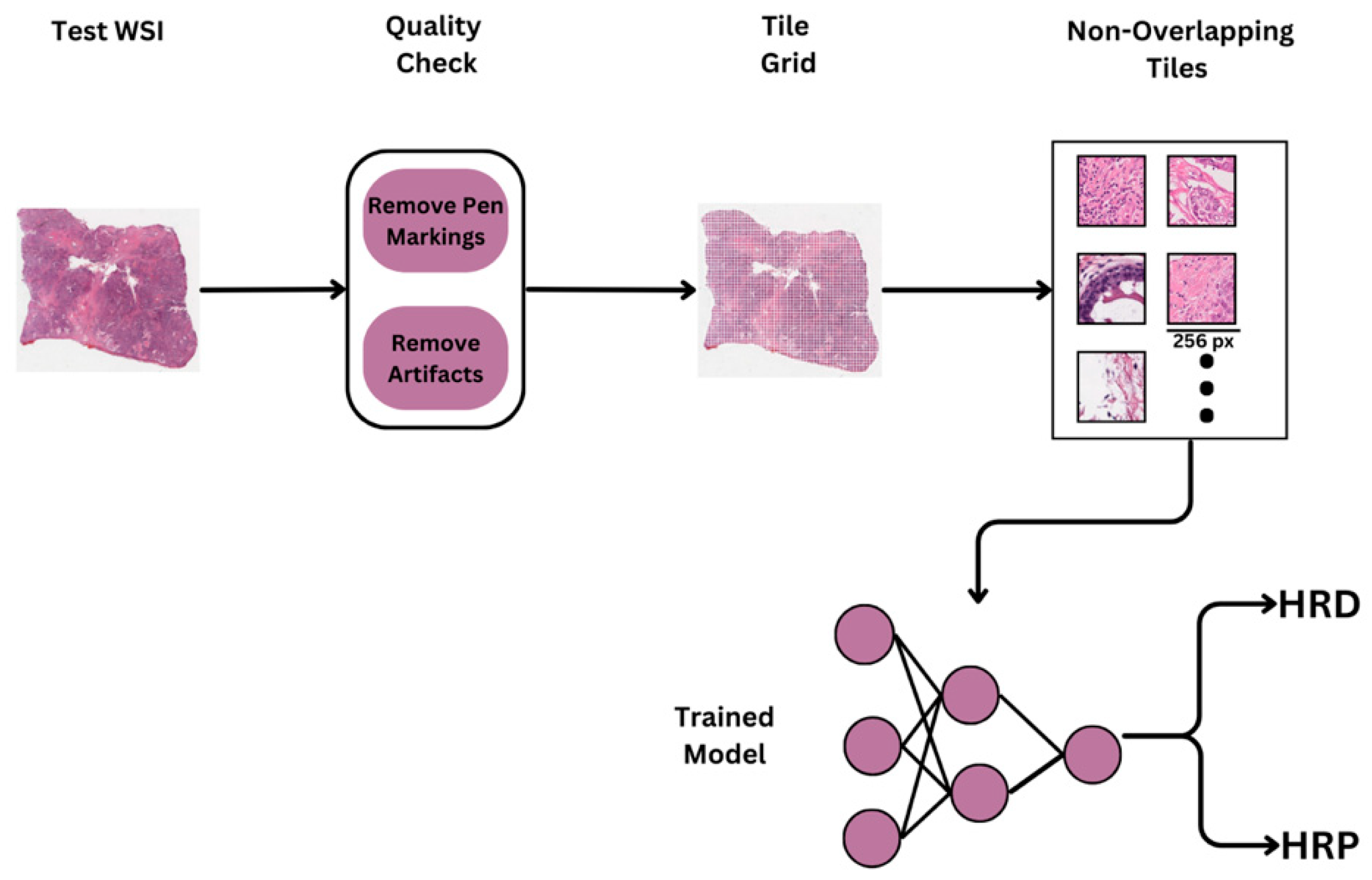 Preprints 164192 g002