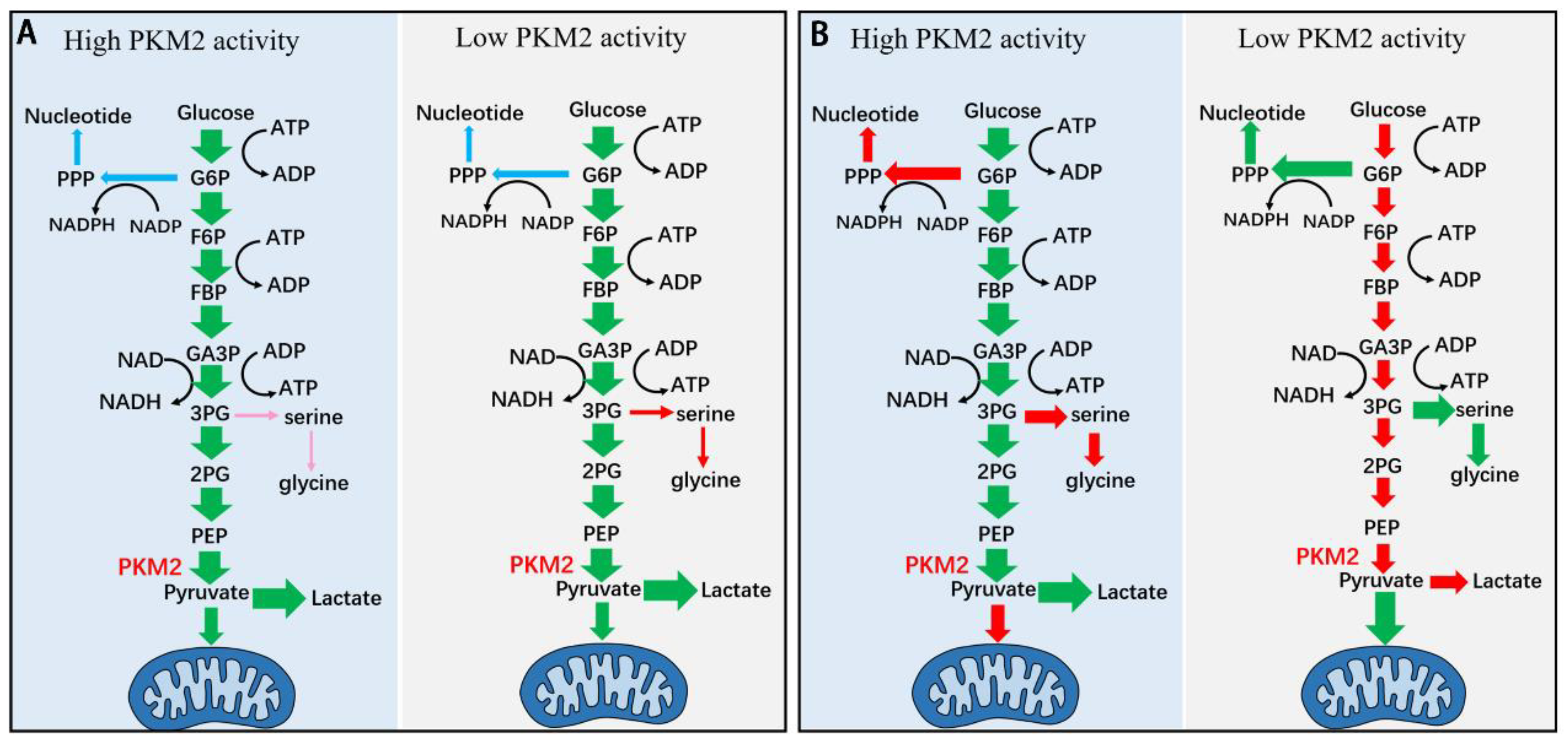 Preprints 163106 g002