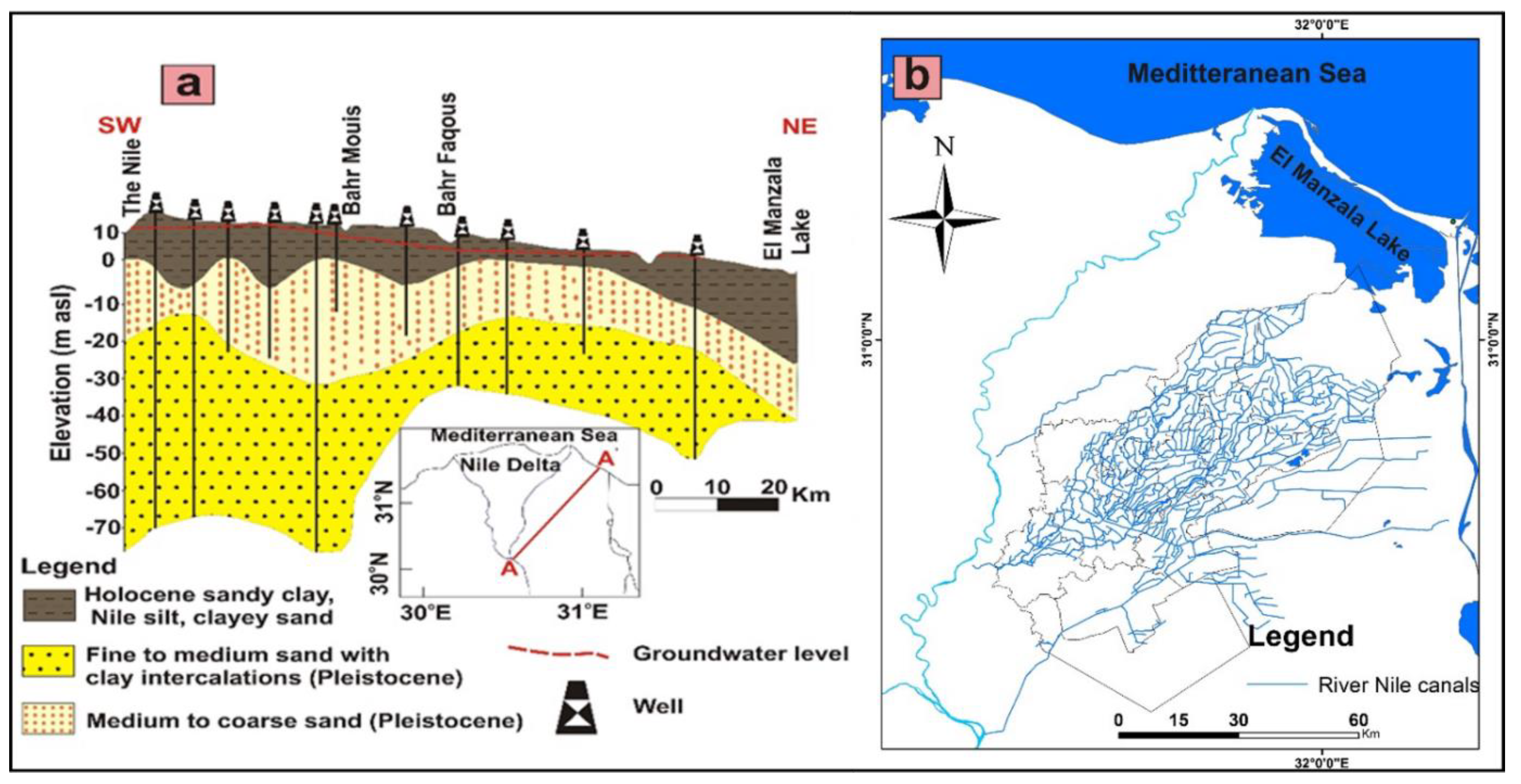Preprints 142611 g002