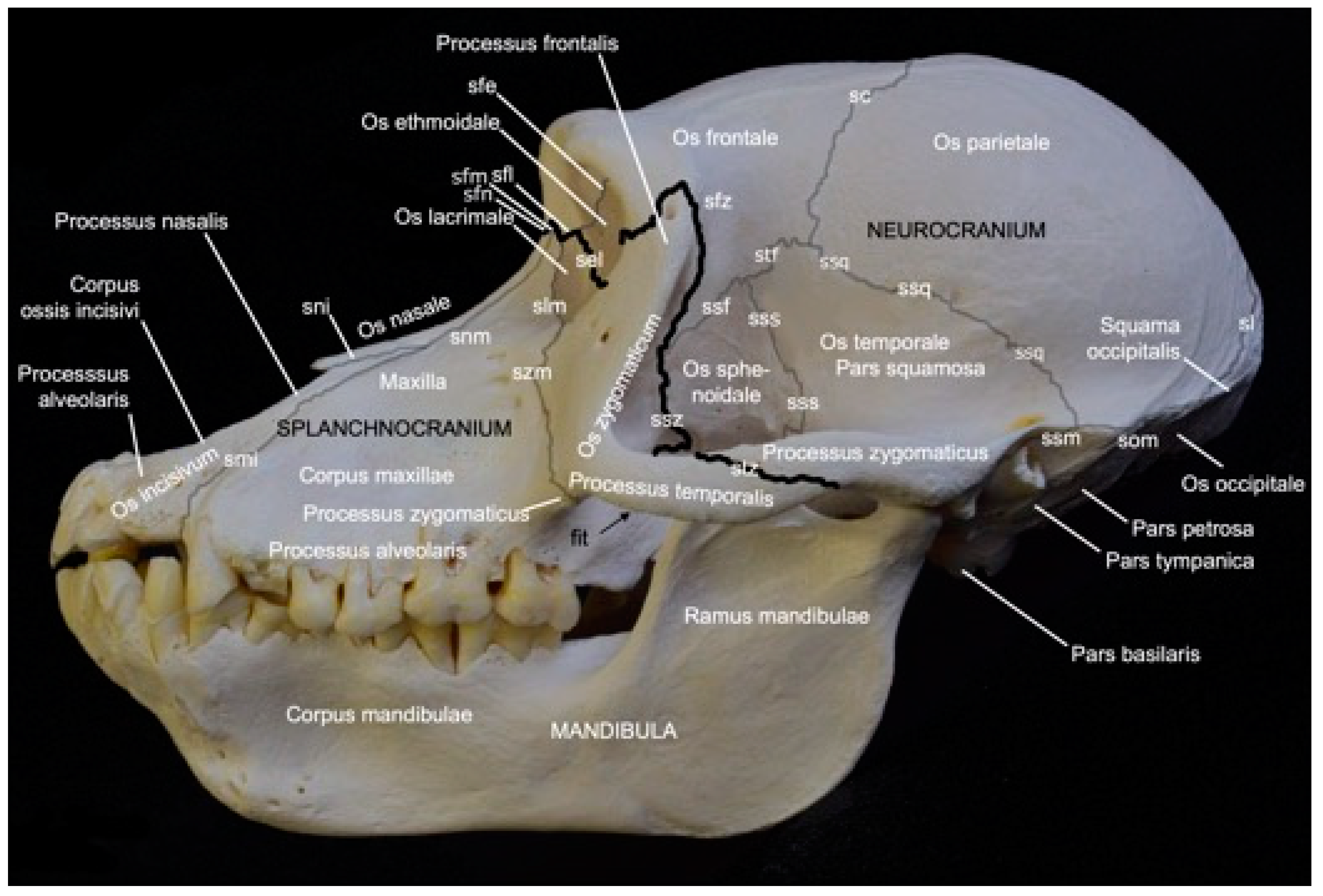 Preprints 84827 g002