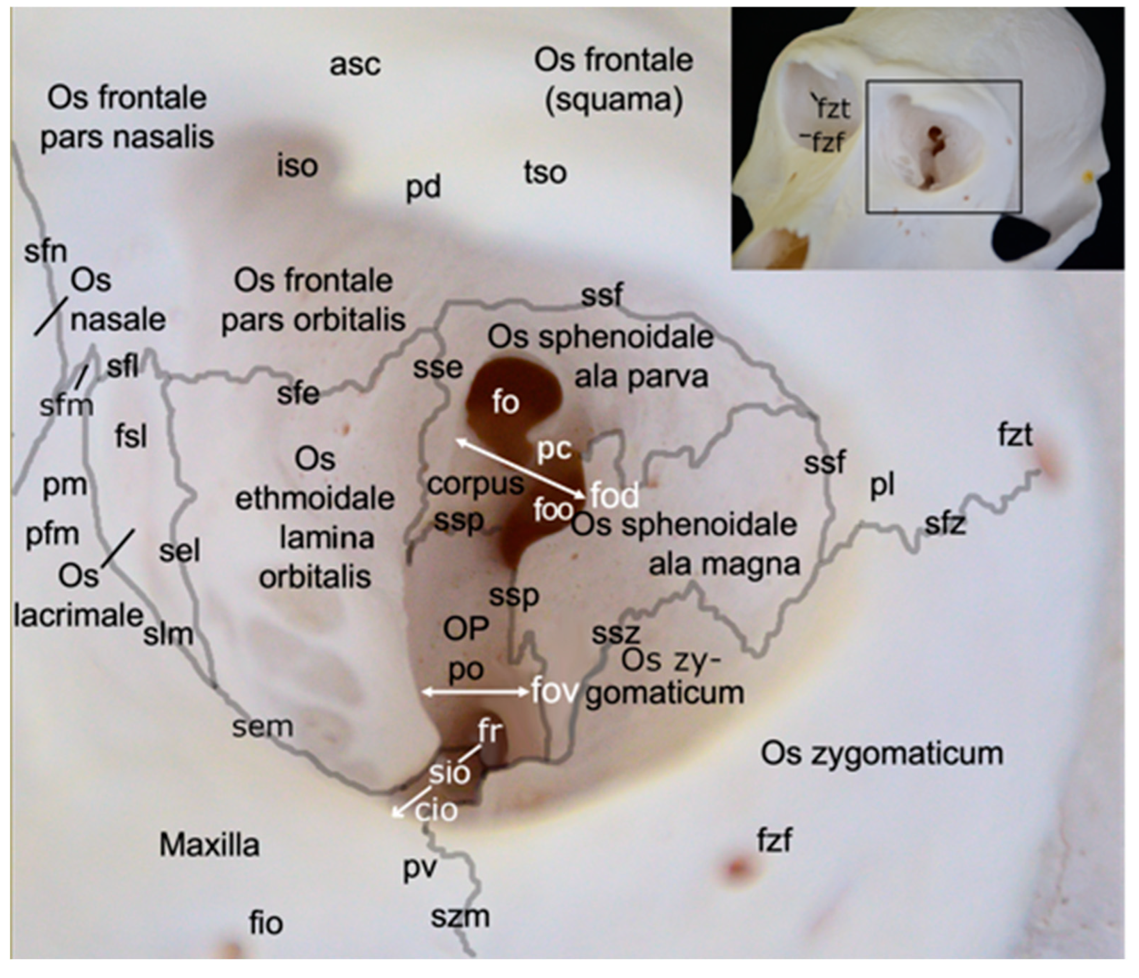 Preprints 84827 g003