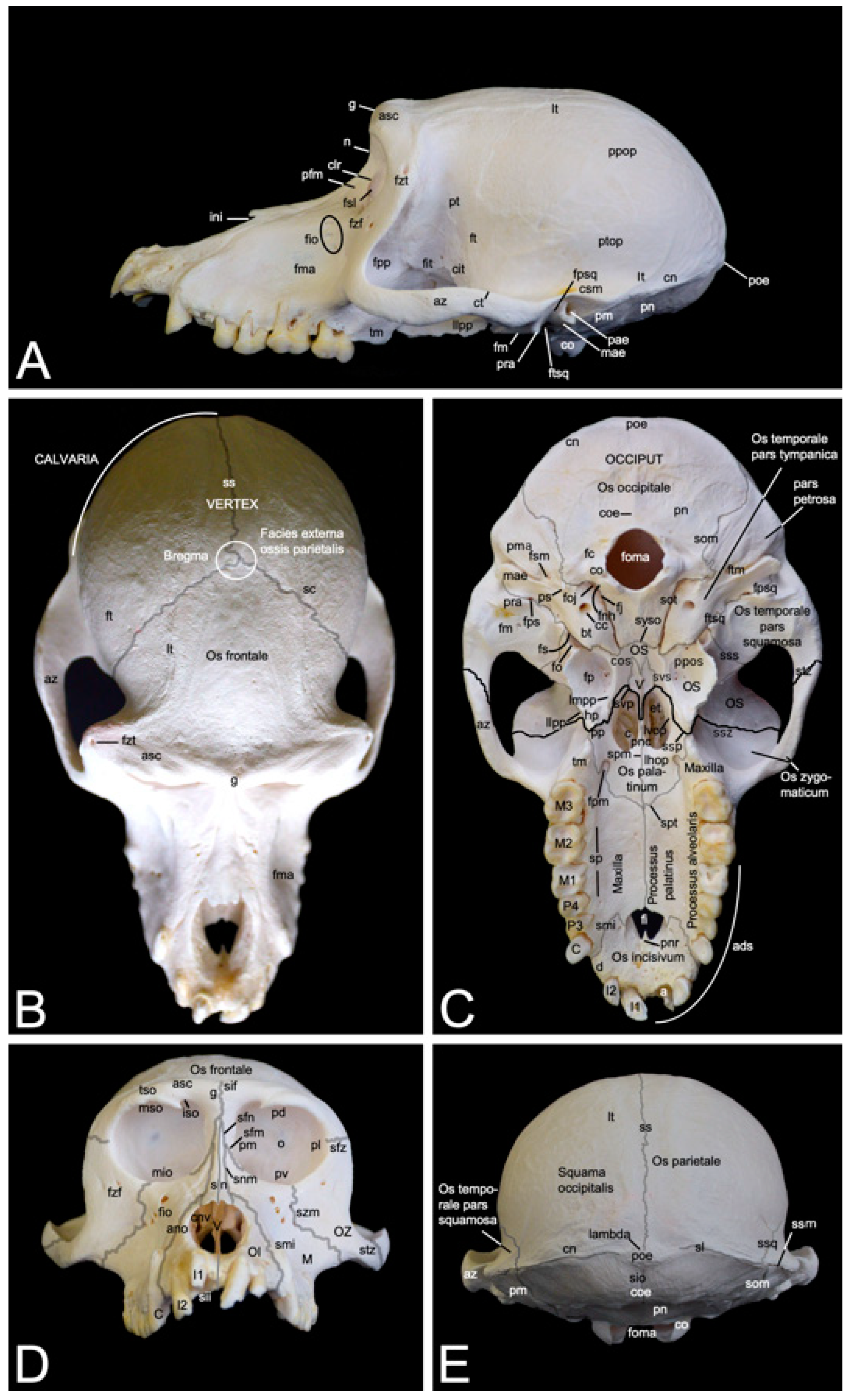 Preprints 84827 g004