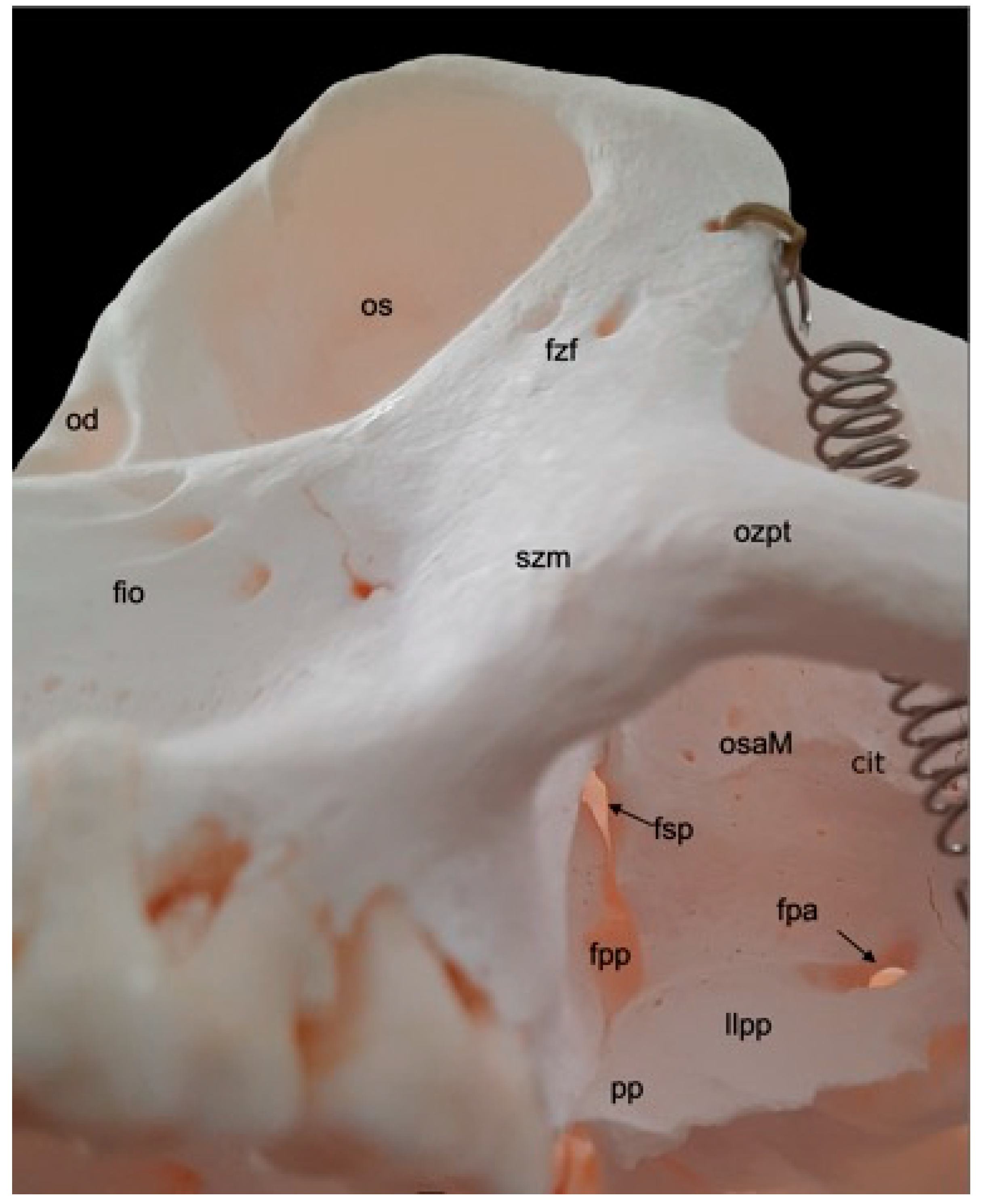 Preprints 84827 g005