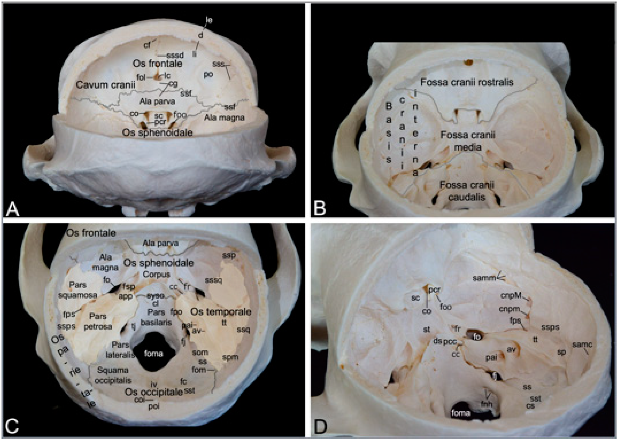Preprints 84827 g006