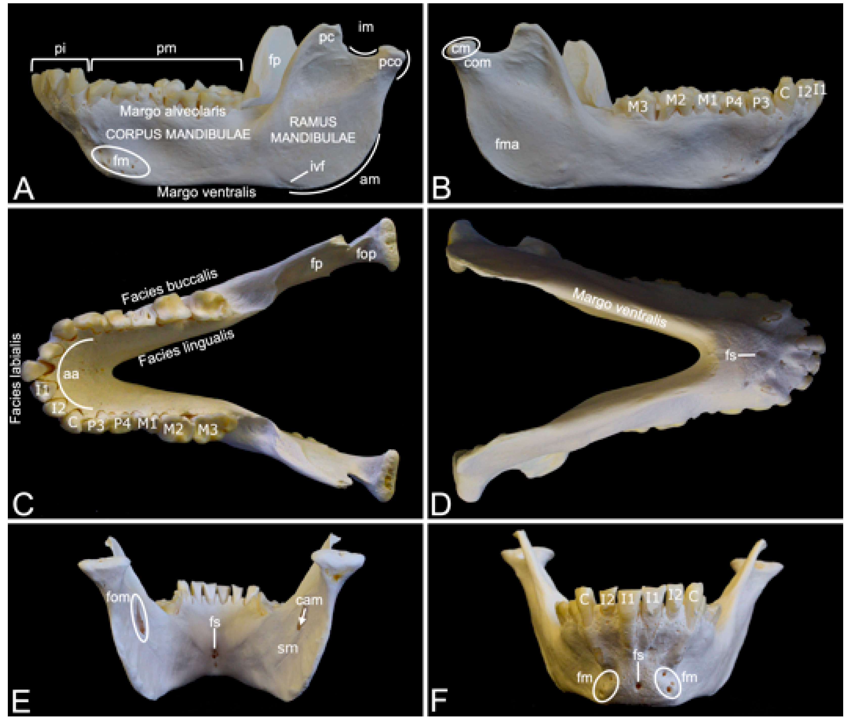 Preprints 84827 g007