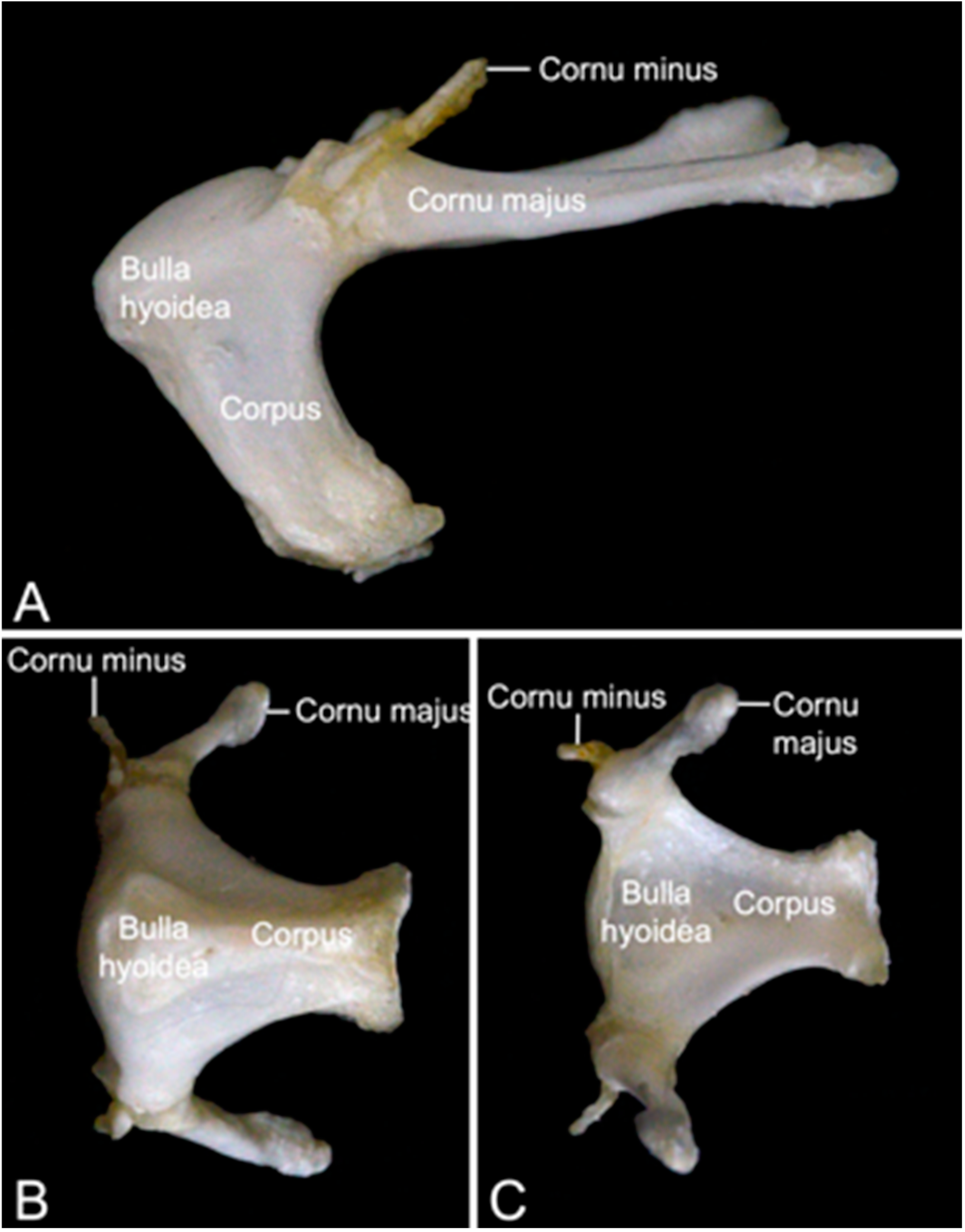 Preprints 84827 g008