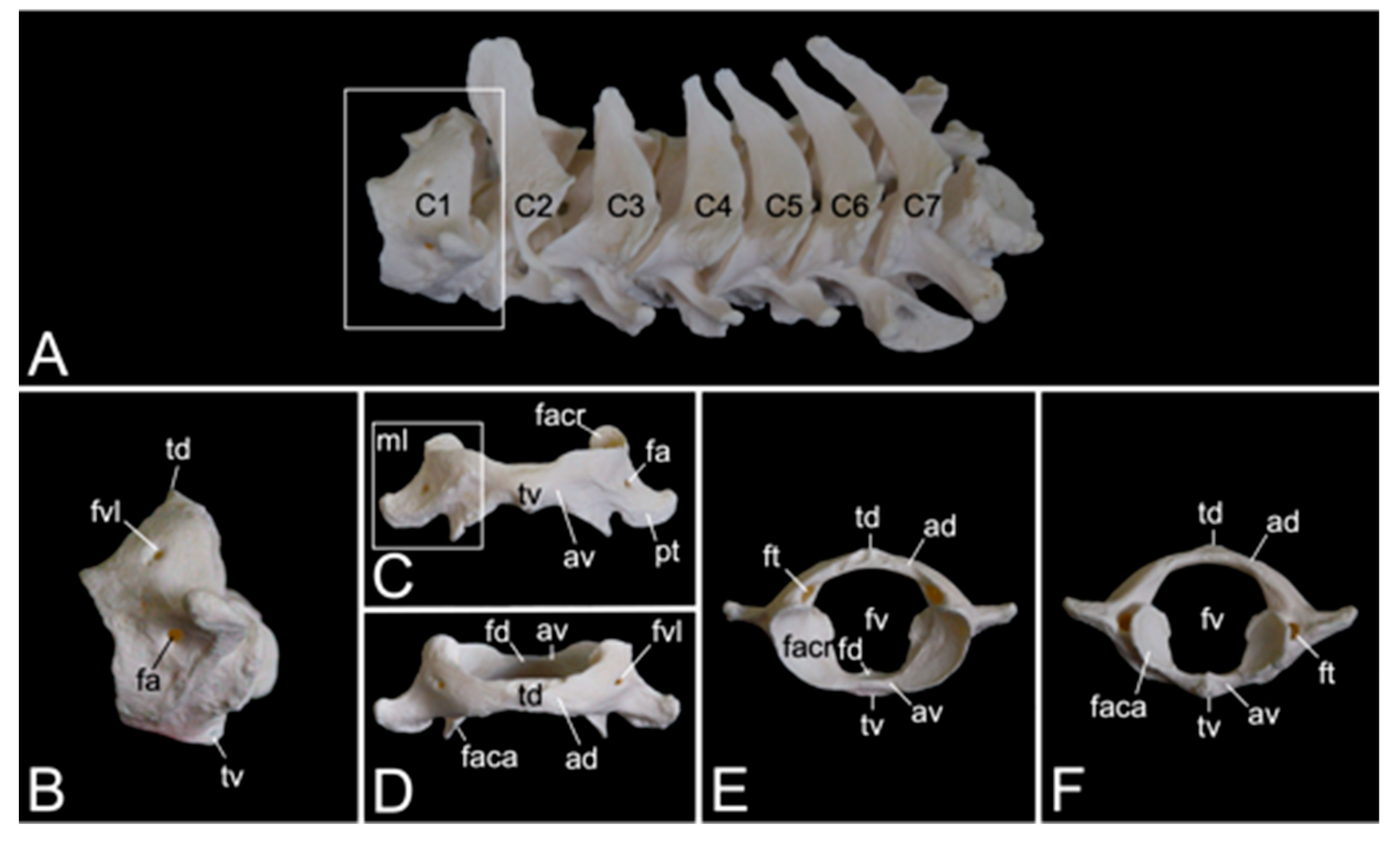 Preprints 84827 g009