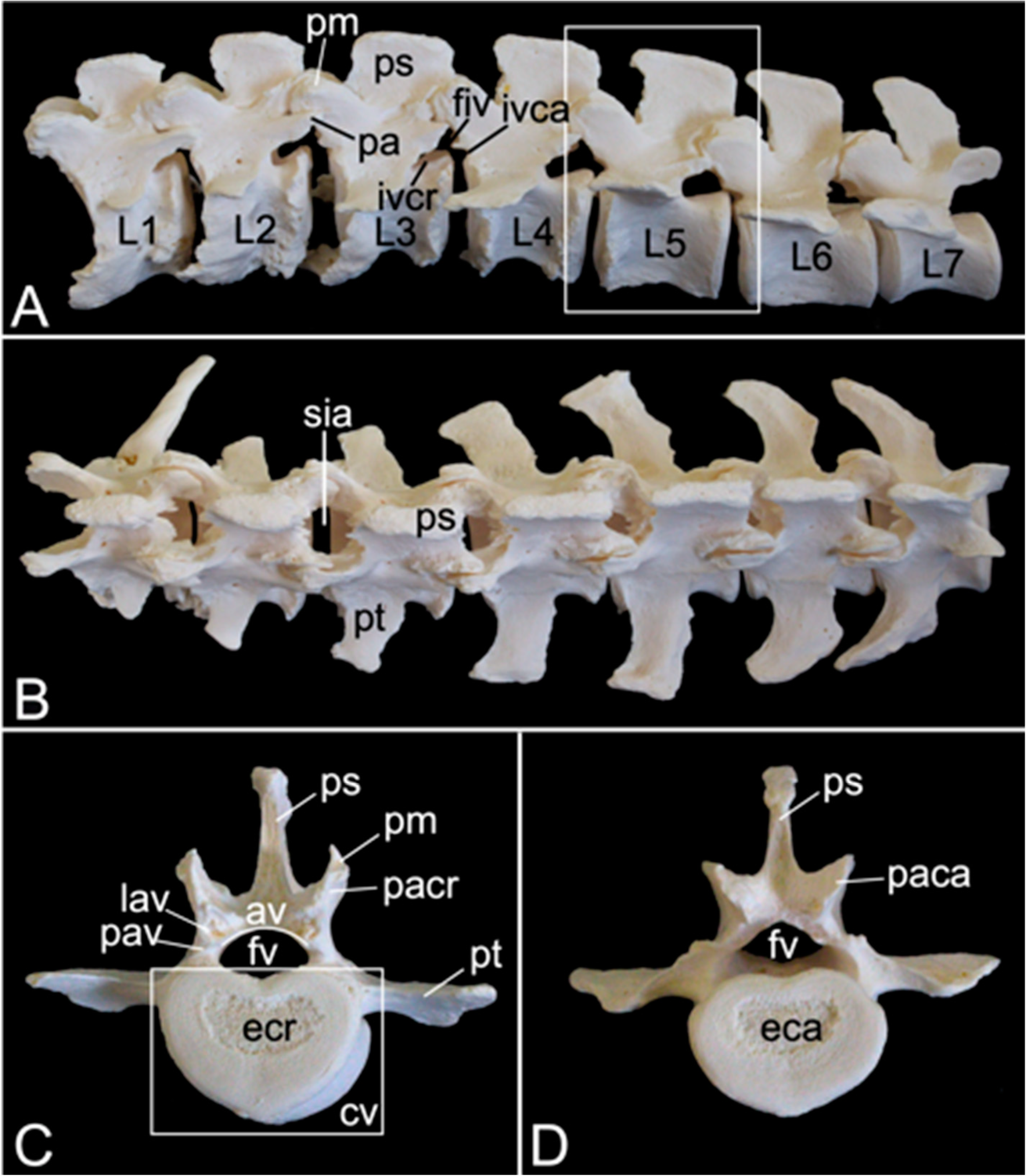 Preprints 84827 g013