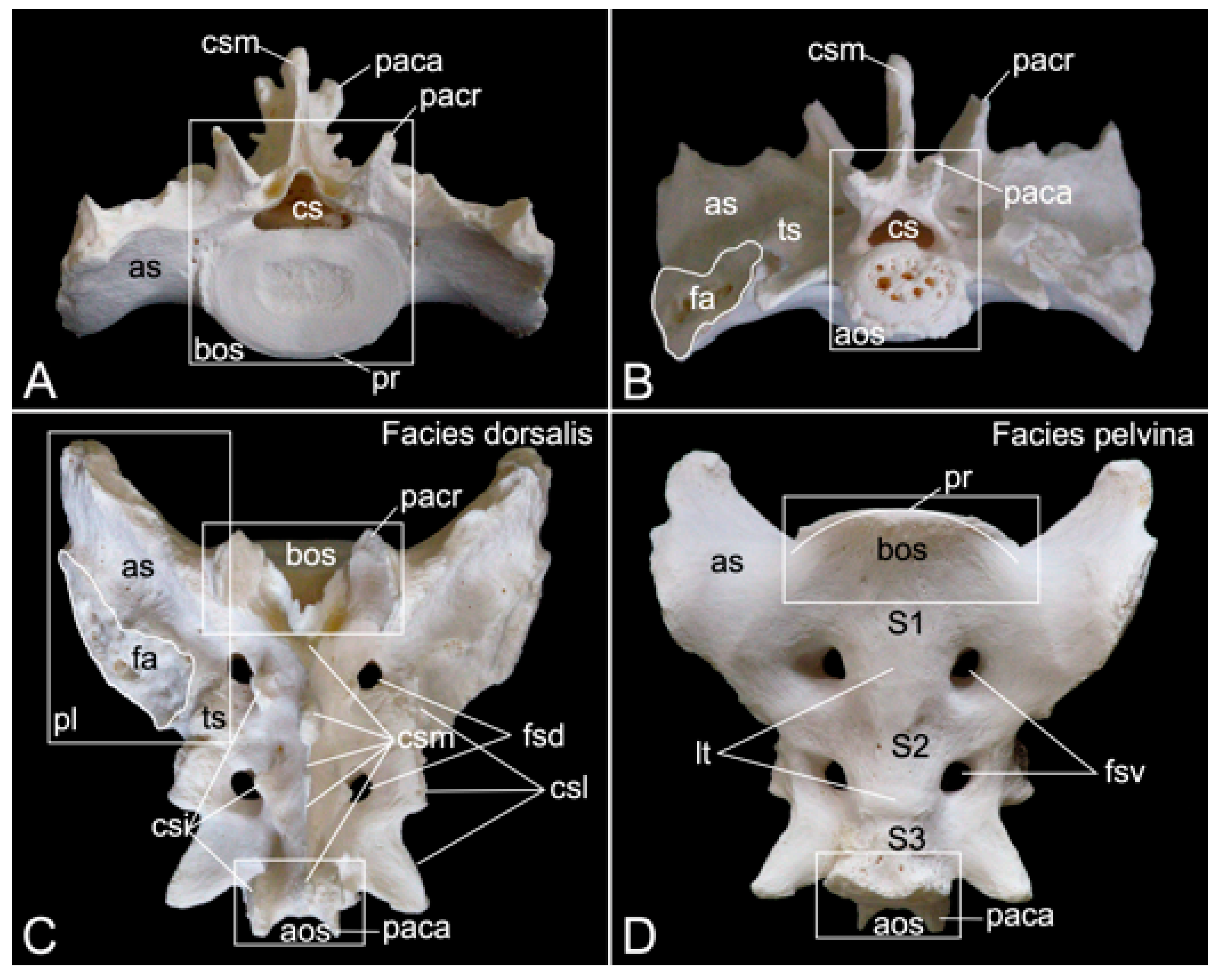 Preprints 84827 g014