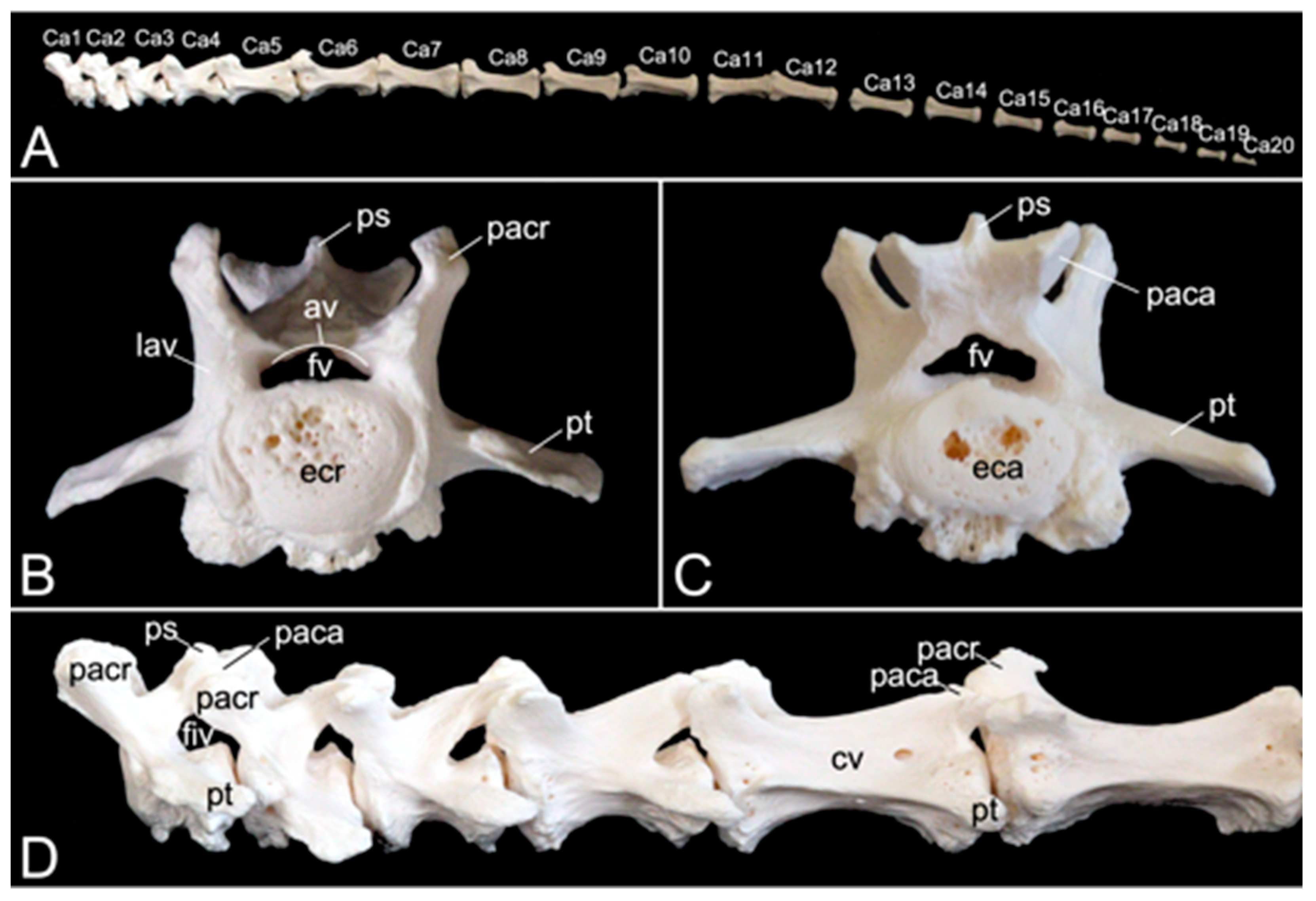 Preprints 84827 g015