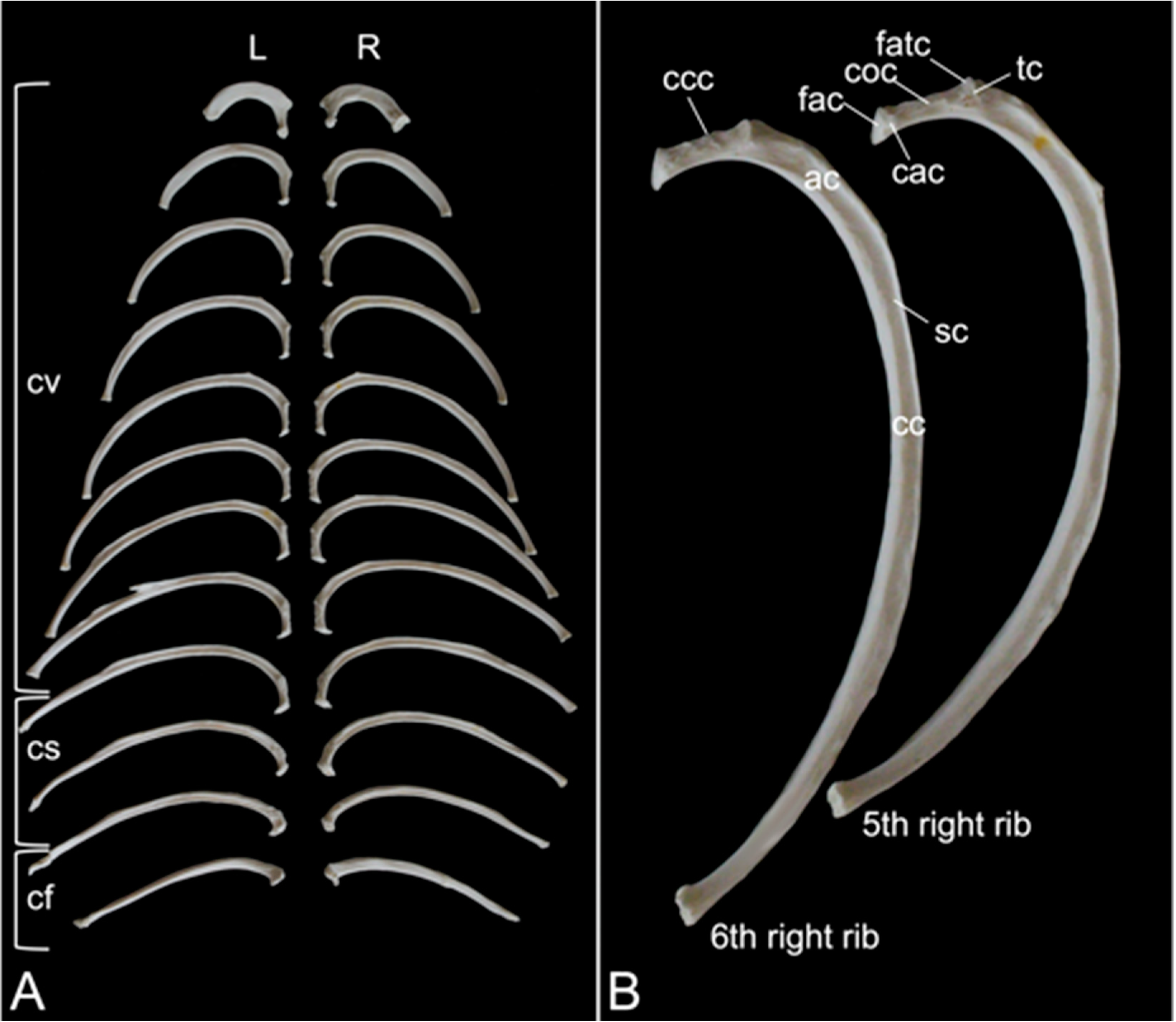Preprints 84827 g016