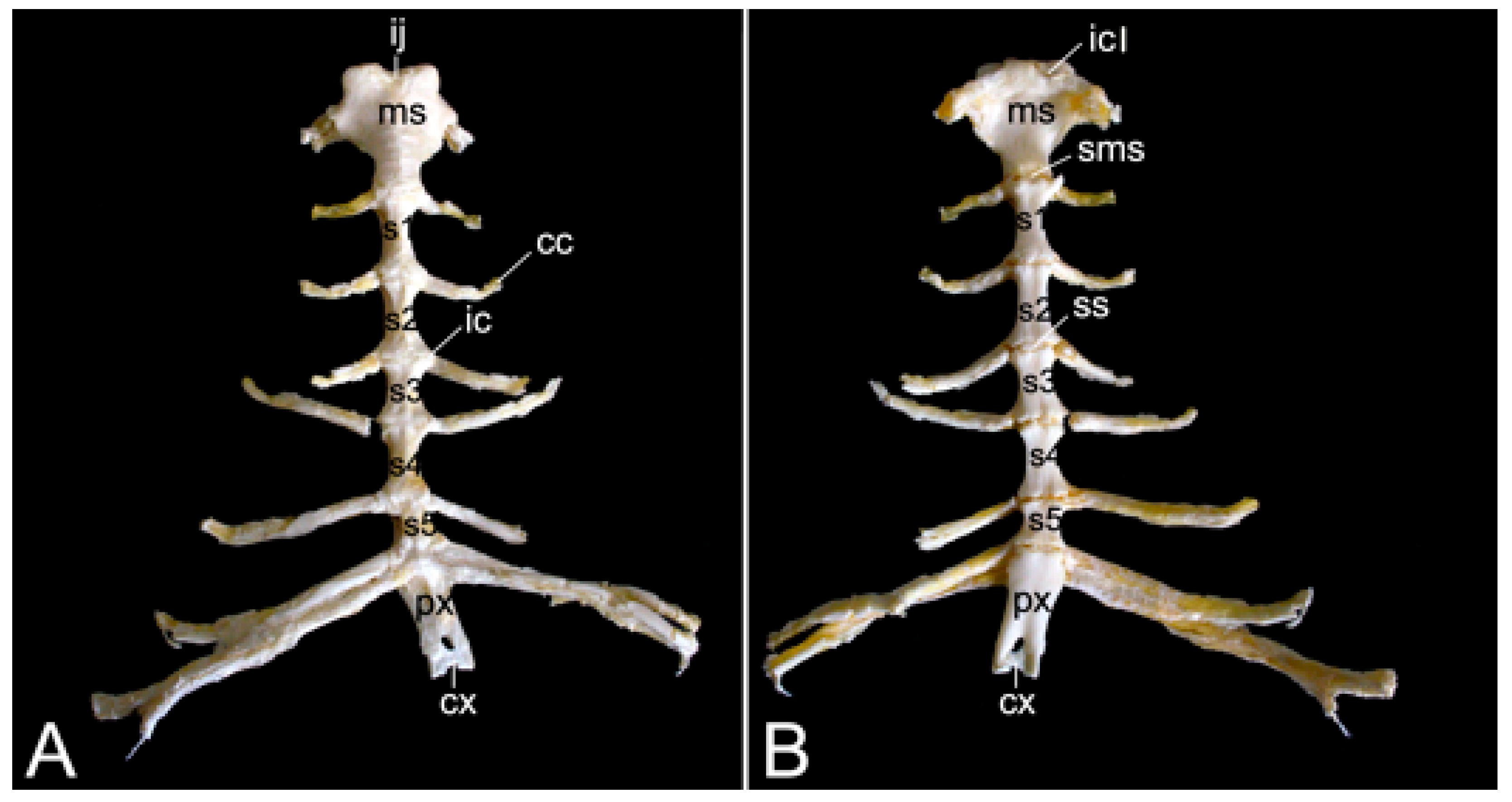 Preprints 84827 g017