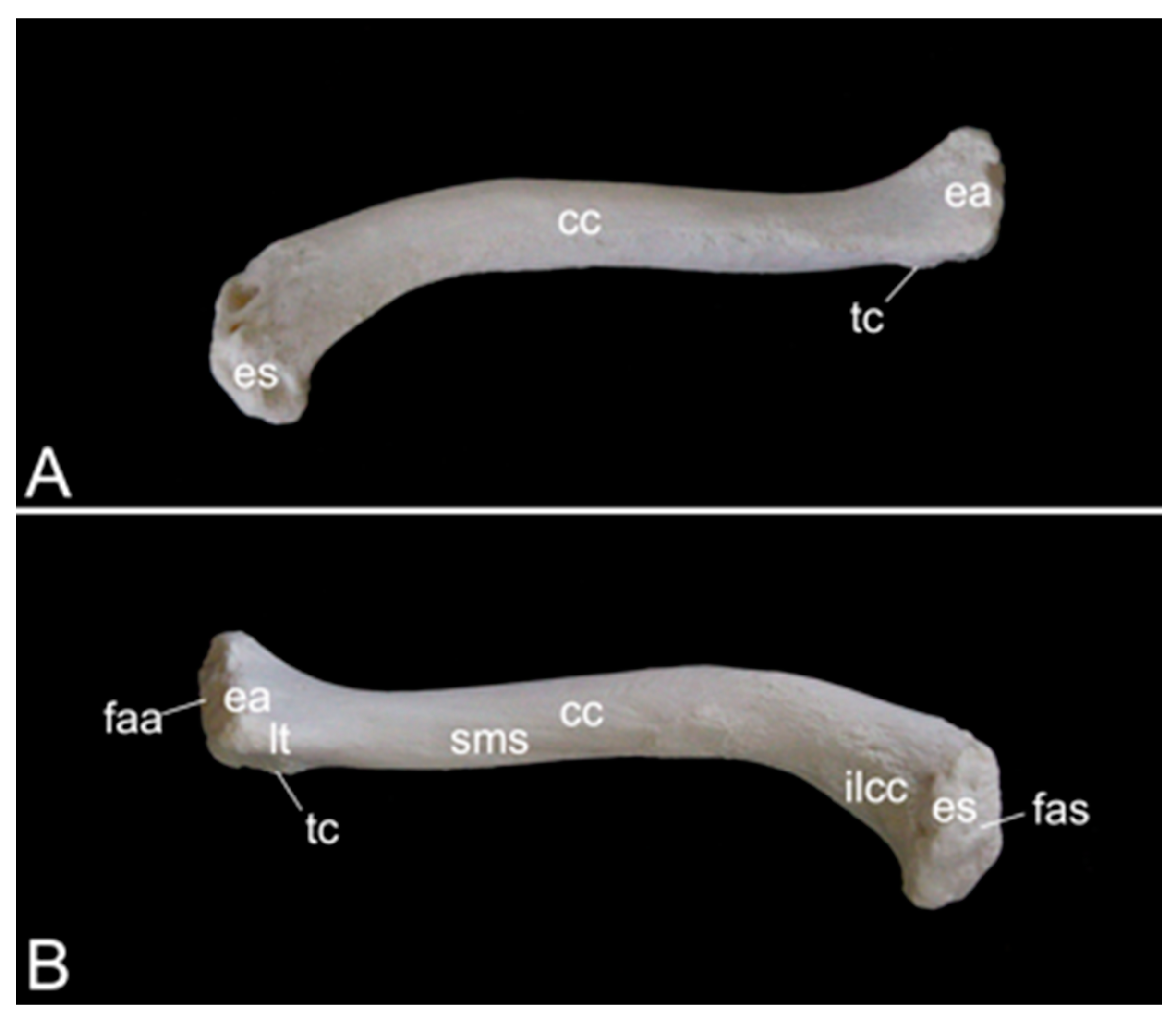Preprints 84827 g018