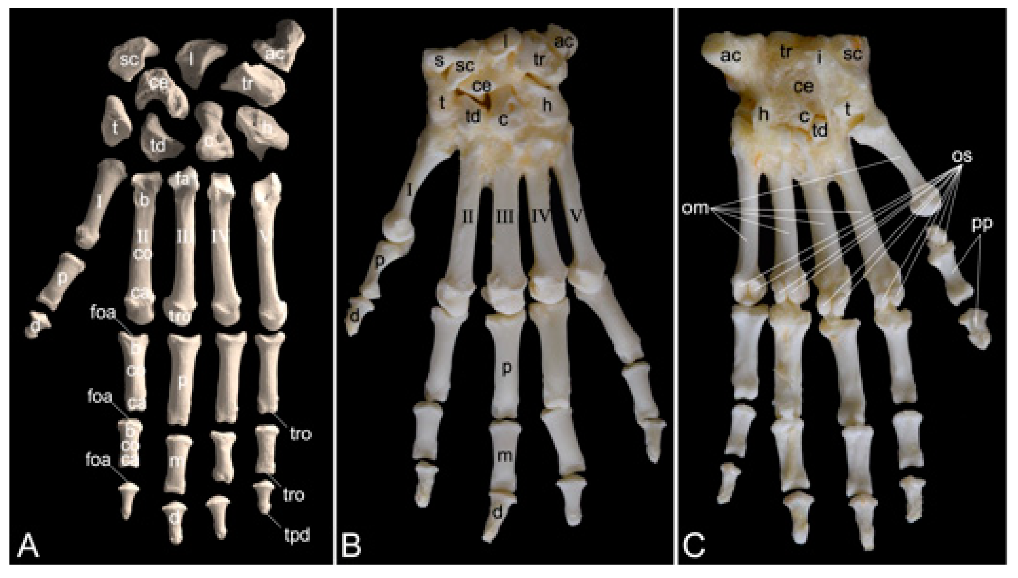Preprints 84827 g023