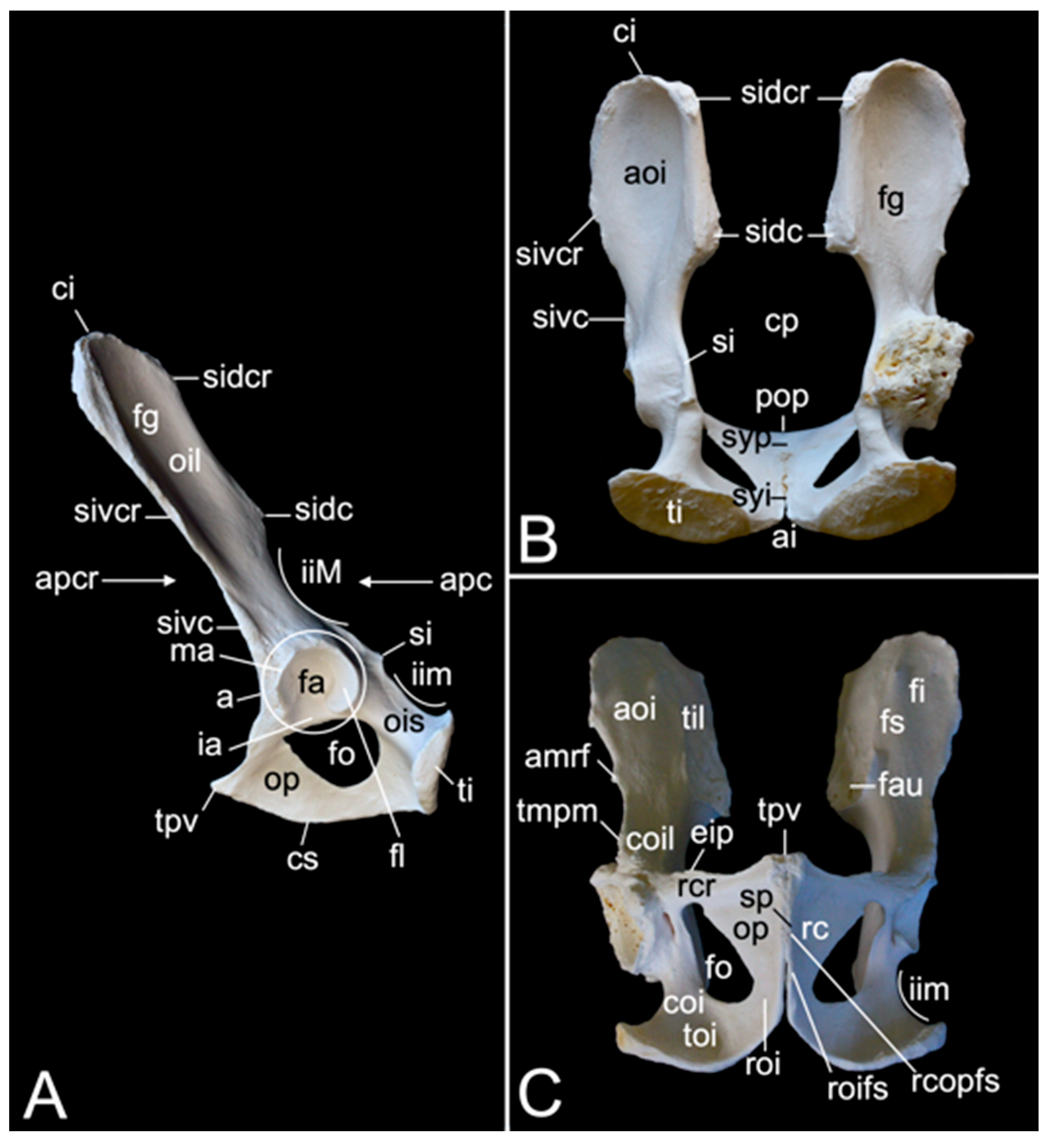 Preprints 84827 g024