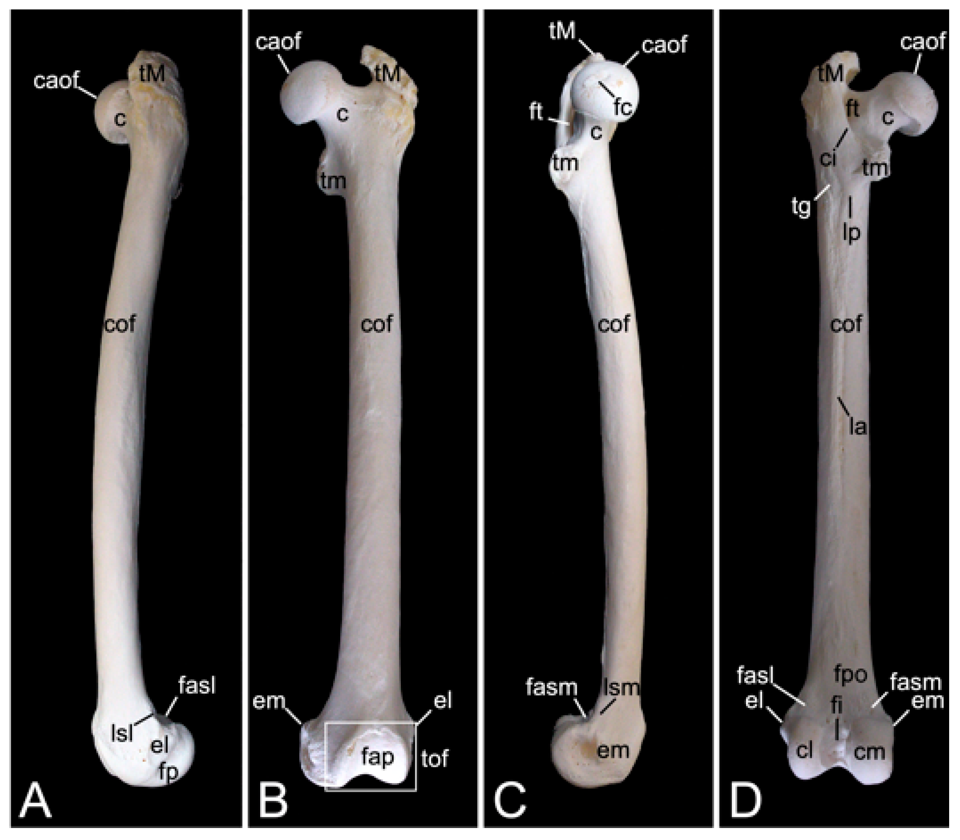 Preprints 84827 g025