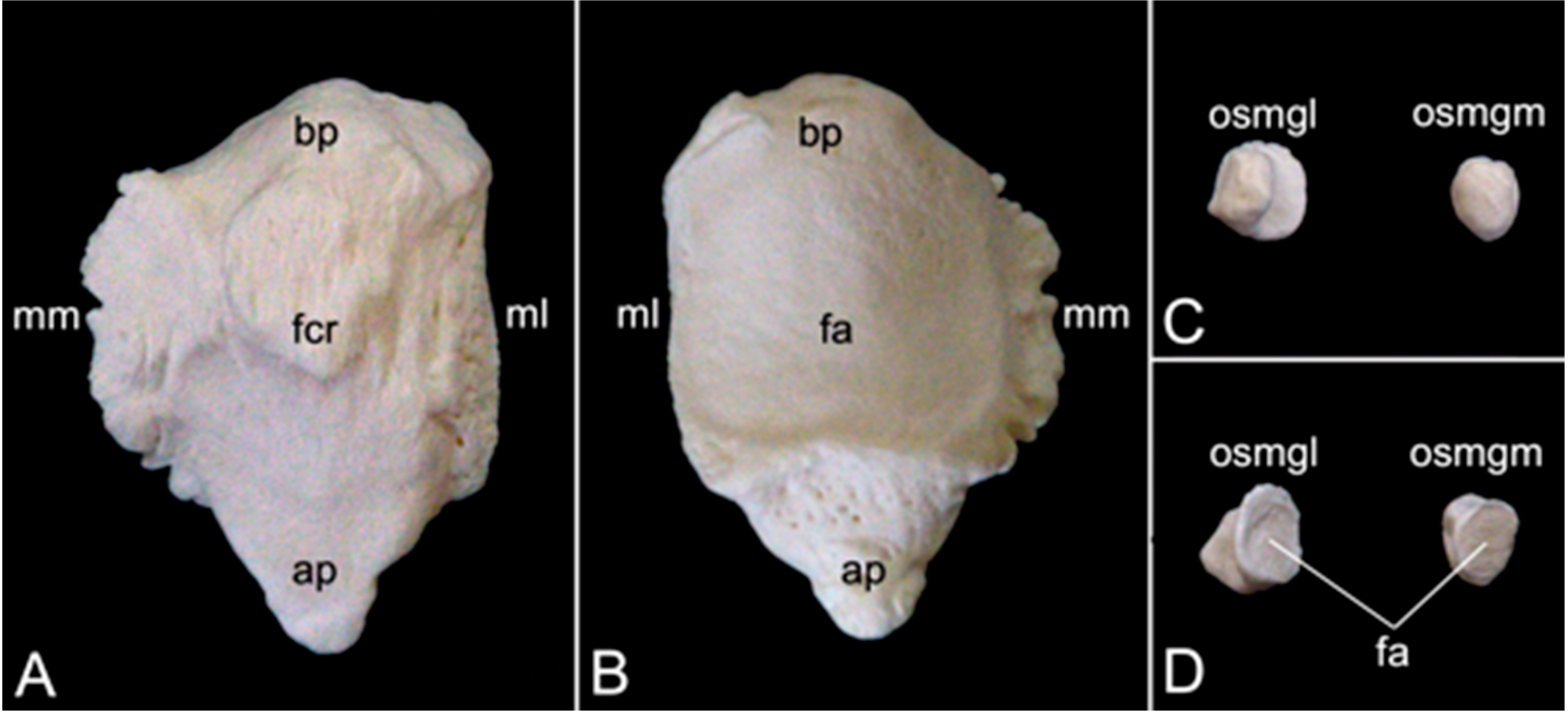 Preprints 84827 g026